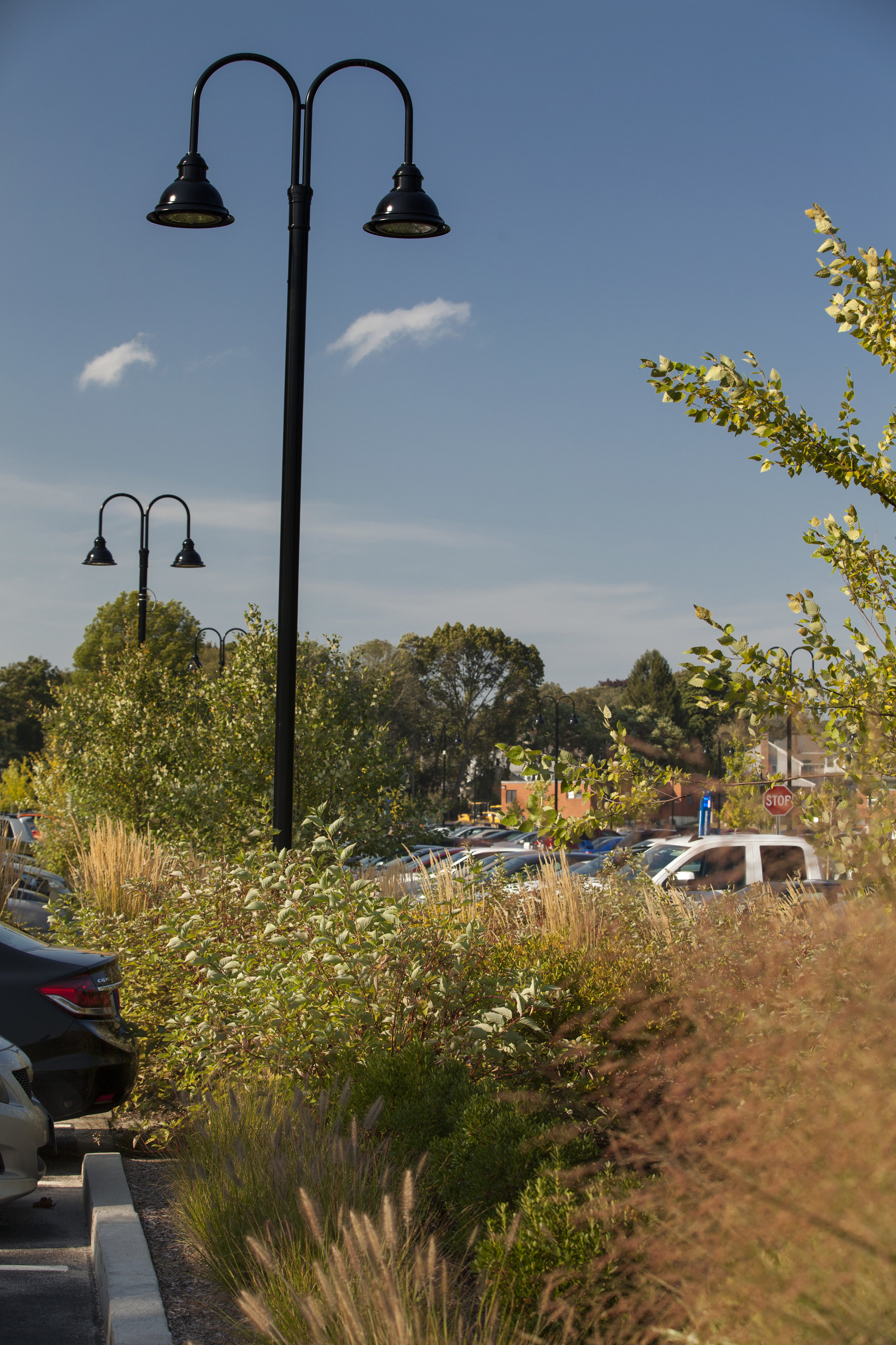 parking, Rhode Island College, Providence RI - Traverse Landscape Architects