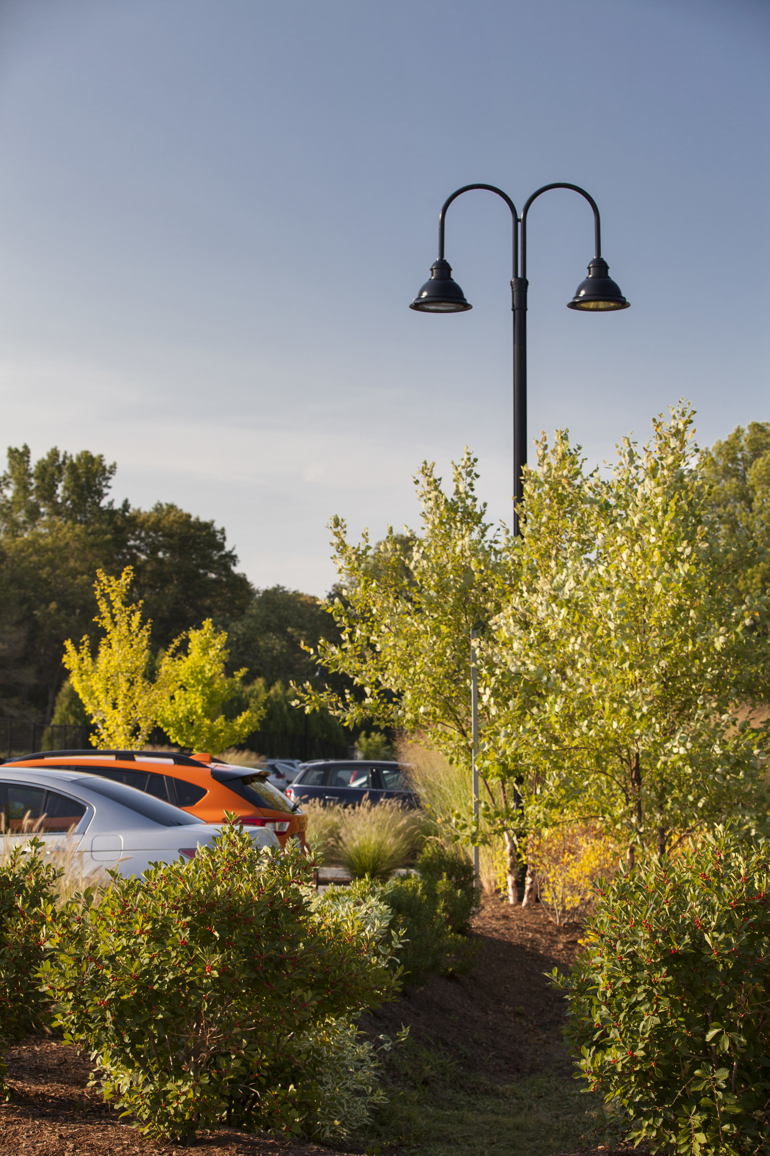 parking, Rhode Island College, Providence RI - Traverse Landscape Architects