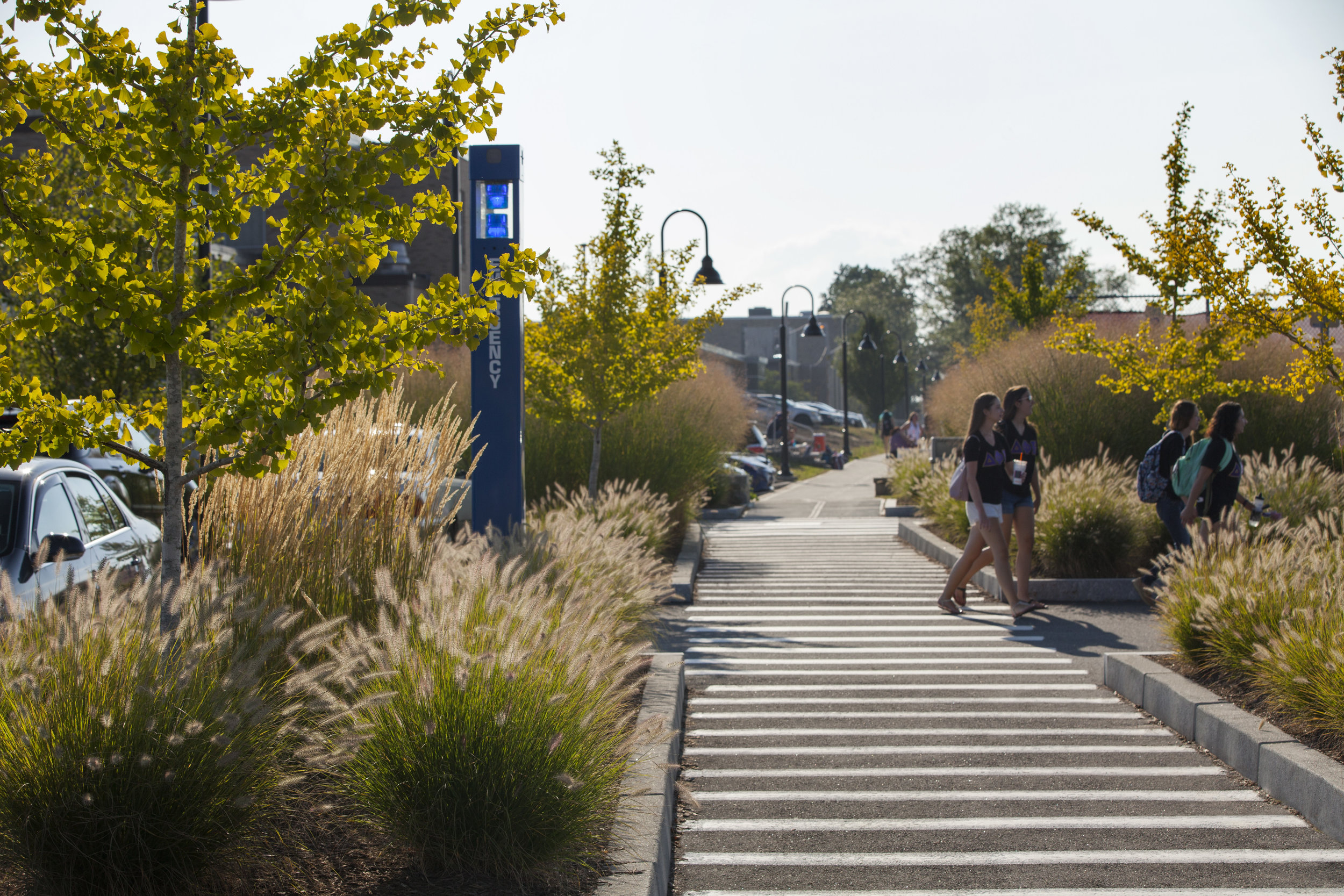 parking, Rhode Island College, Providence RI - Traverse Landscape Architects