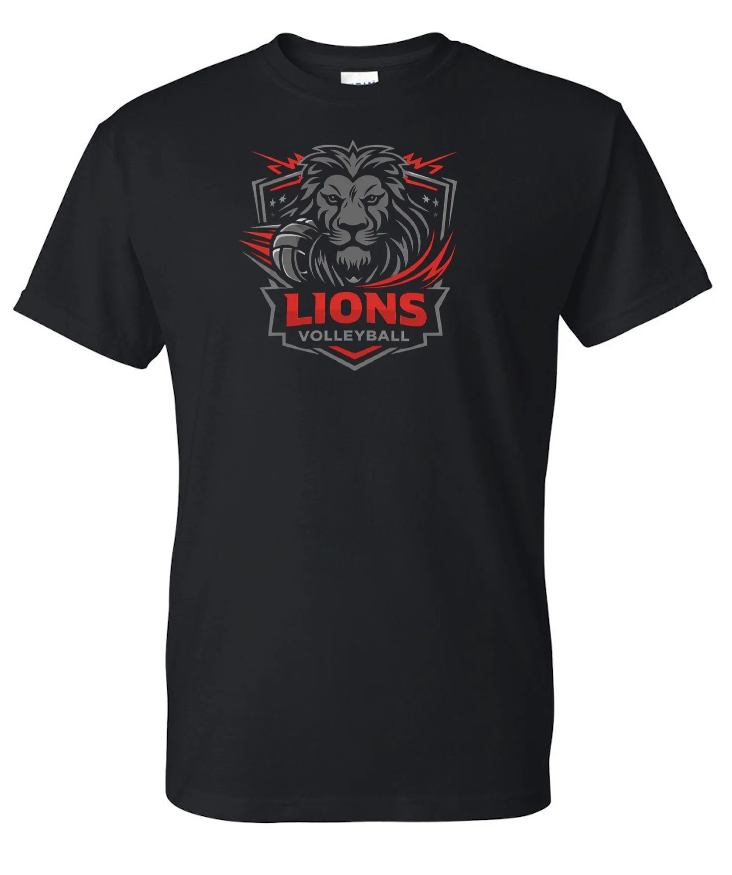 LMS T-shirt.jpg