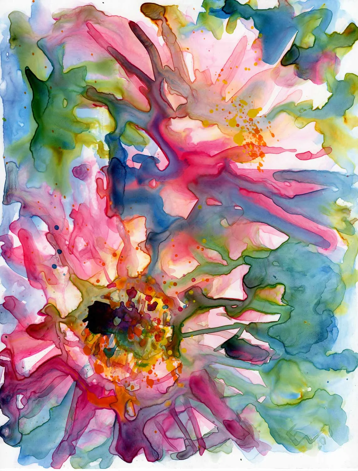 Cactus Flowers Signed Print