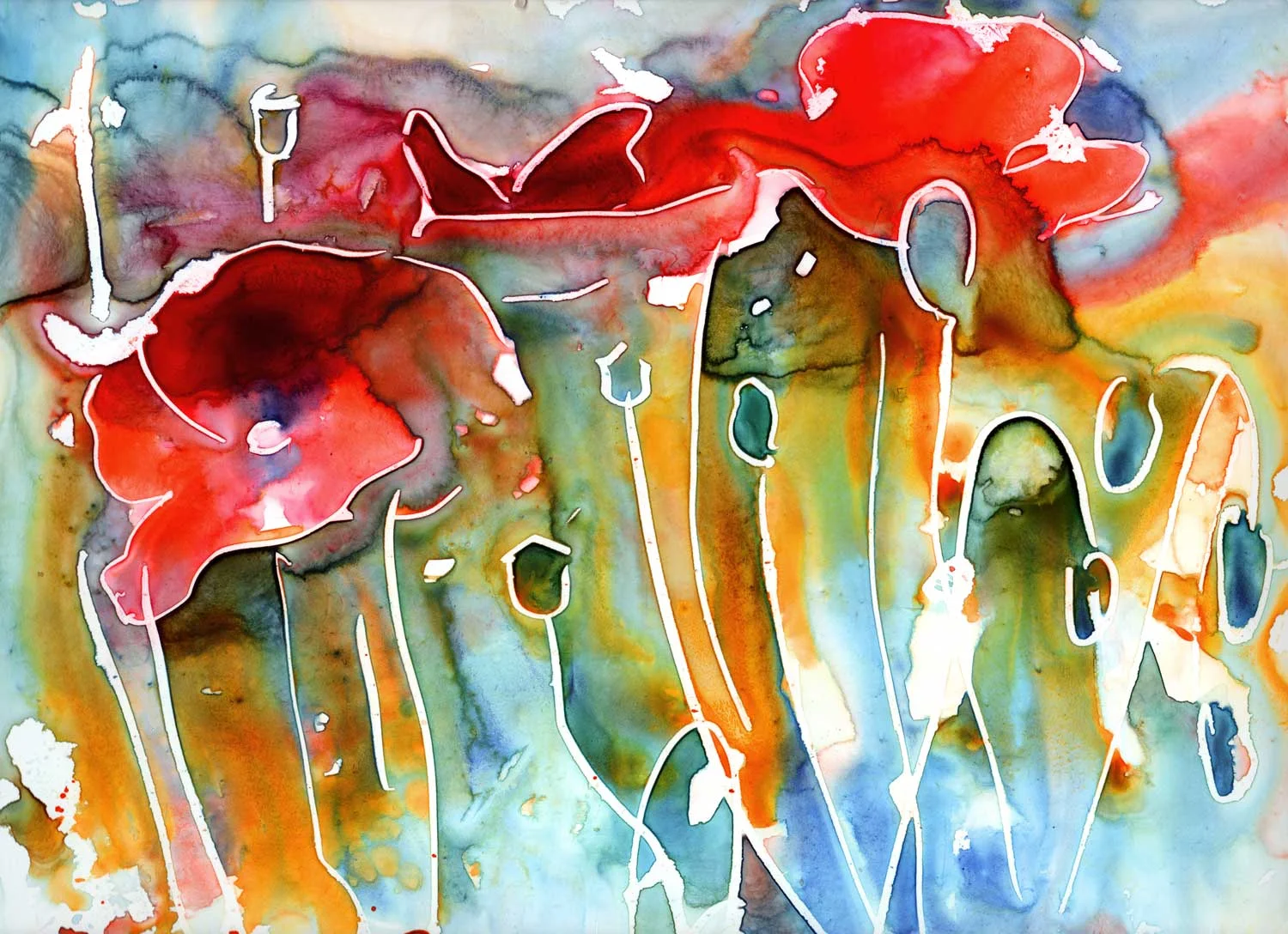 Poppy Field Signed Print