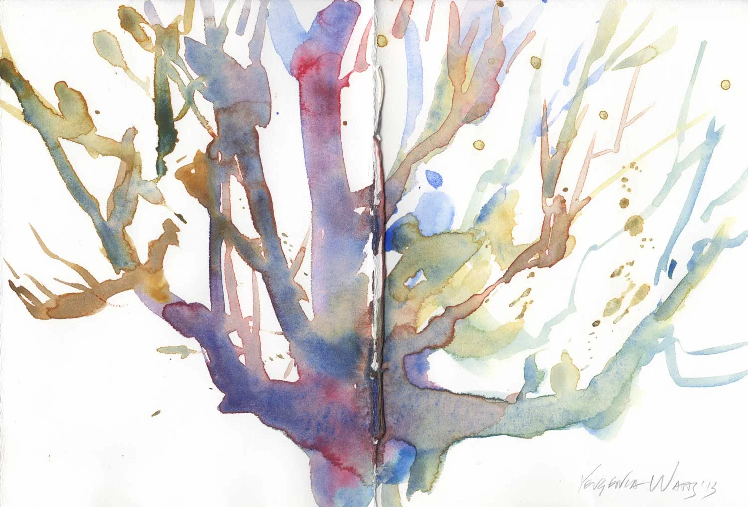 shadow-tree.jpg