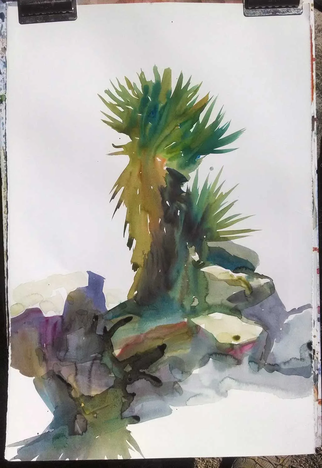 22 x 15" Watercolor on hot press watercolor paper. 