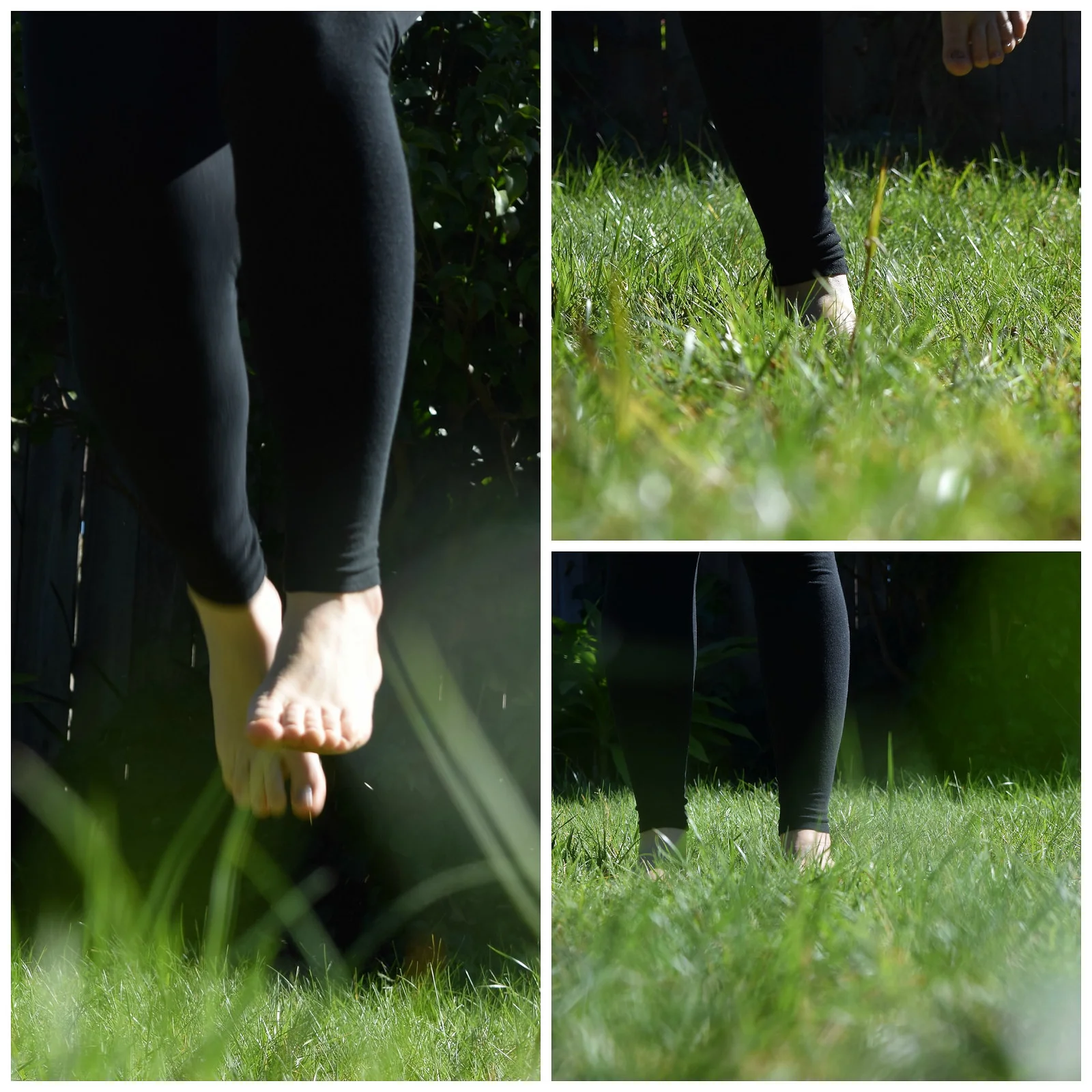 This was a me-on-my-path prompt, which turned out difficult for me. I've been feeling disoriented, sometimes suspended in mid-air not sure which way is up; sometimes definitely plummeting down; sometimes touching the ground for a second and then bouncing off again. So an image of me walking down a path would not ring true. I was surprised at the pure luck of catching my feet so high in the air. Ideally, of course, they would be in focus...And the bottom right is where I would like to be. Feet firm on the ground, safe, confident. Ready to go.