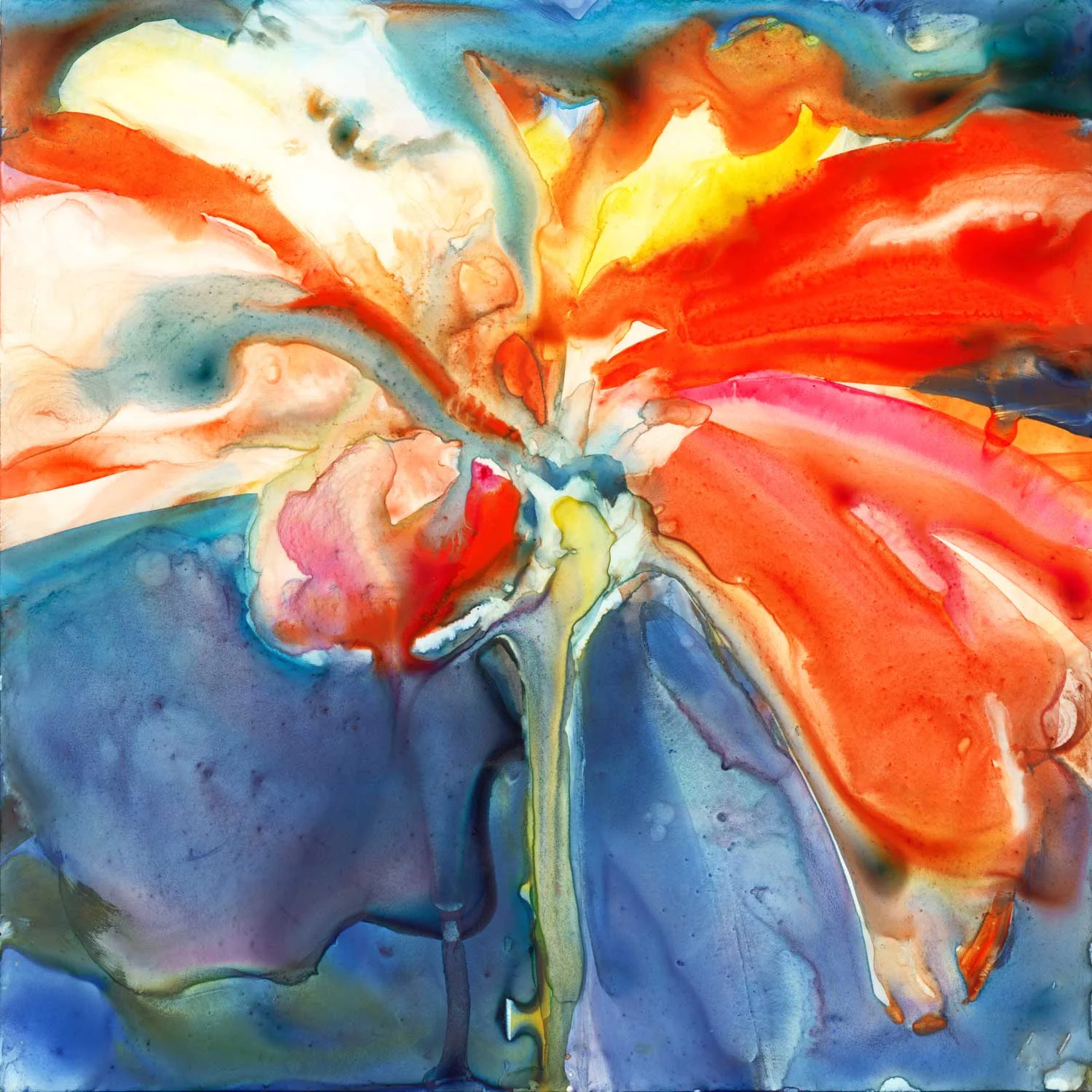 Orange Zinnia watercolor on Yupo.