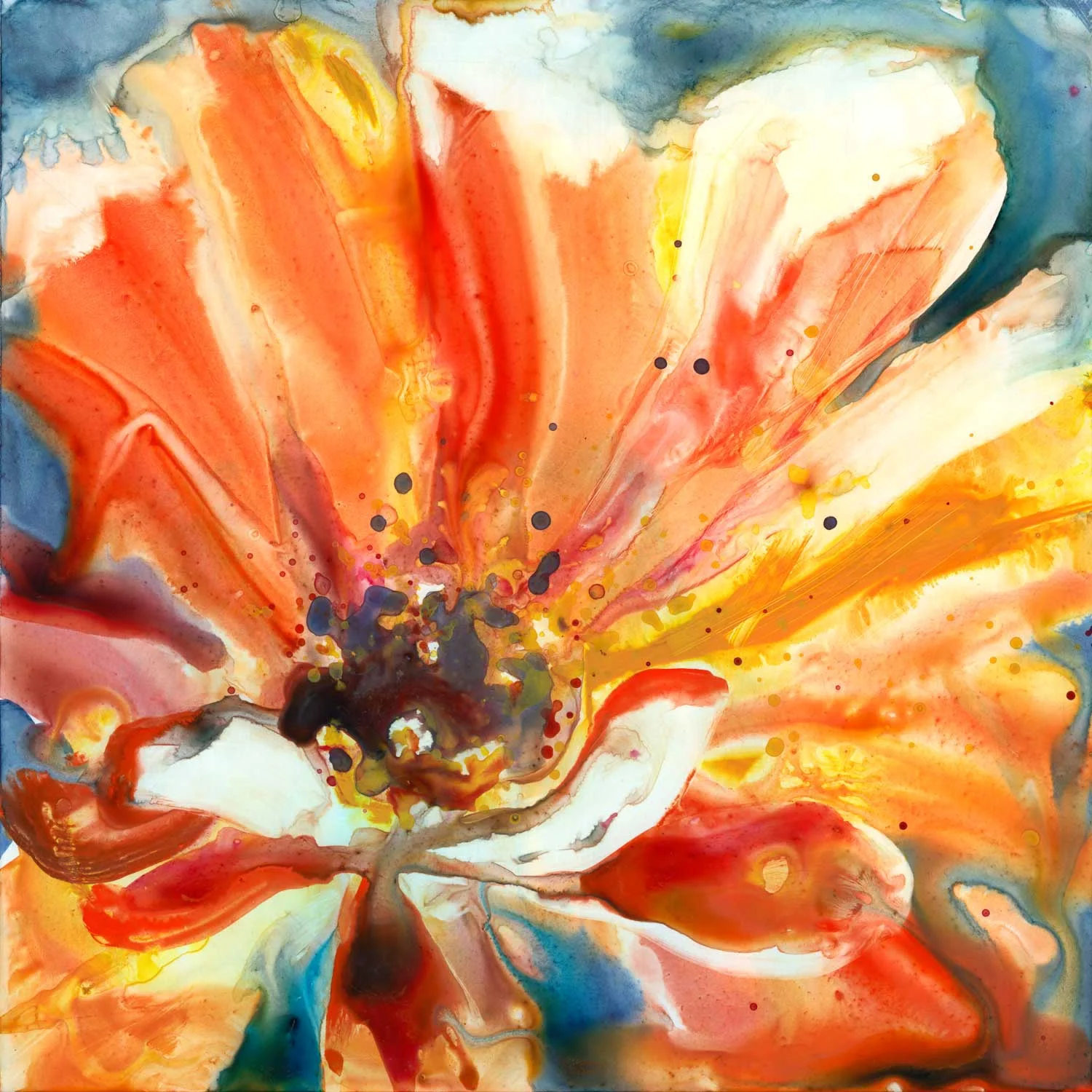 orange-zinnia-2.jpg
