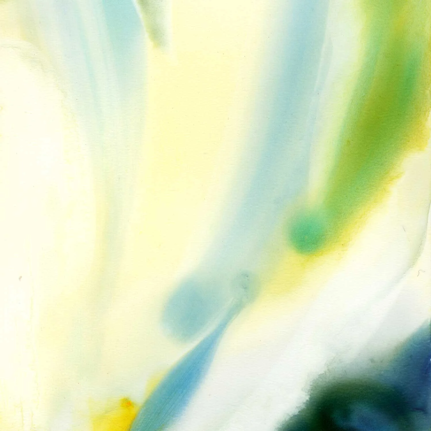 Really like this closeup. The white of the paper is shining through the transparent washes.