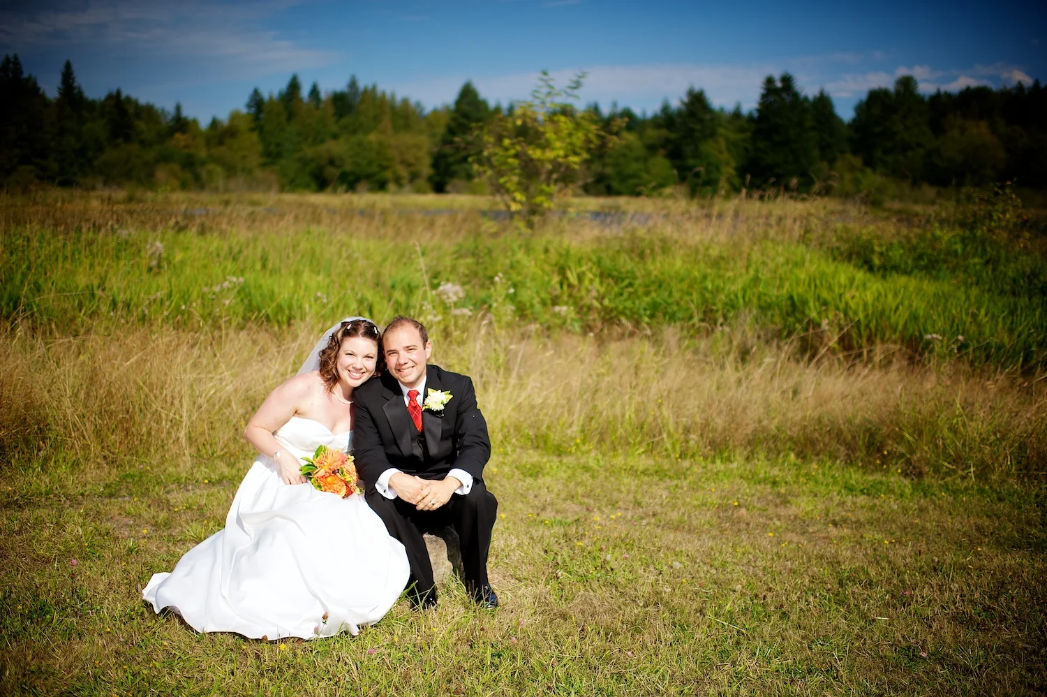 website weddings 6.jpg