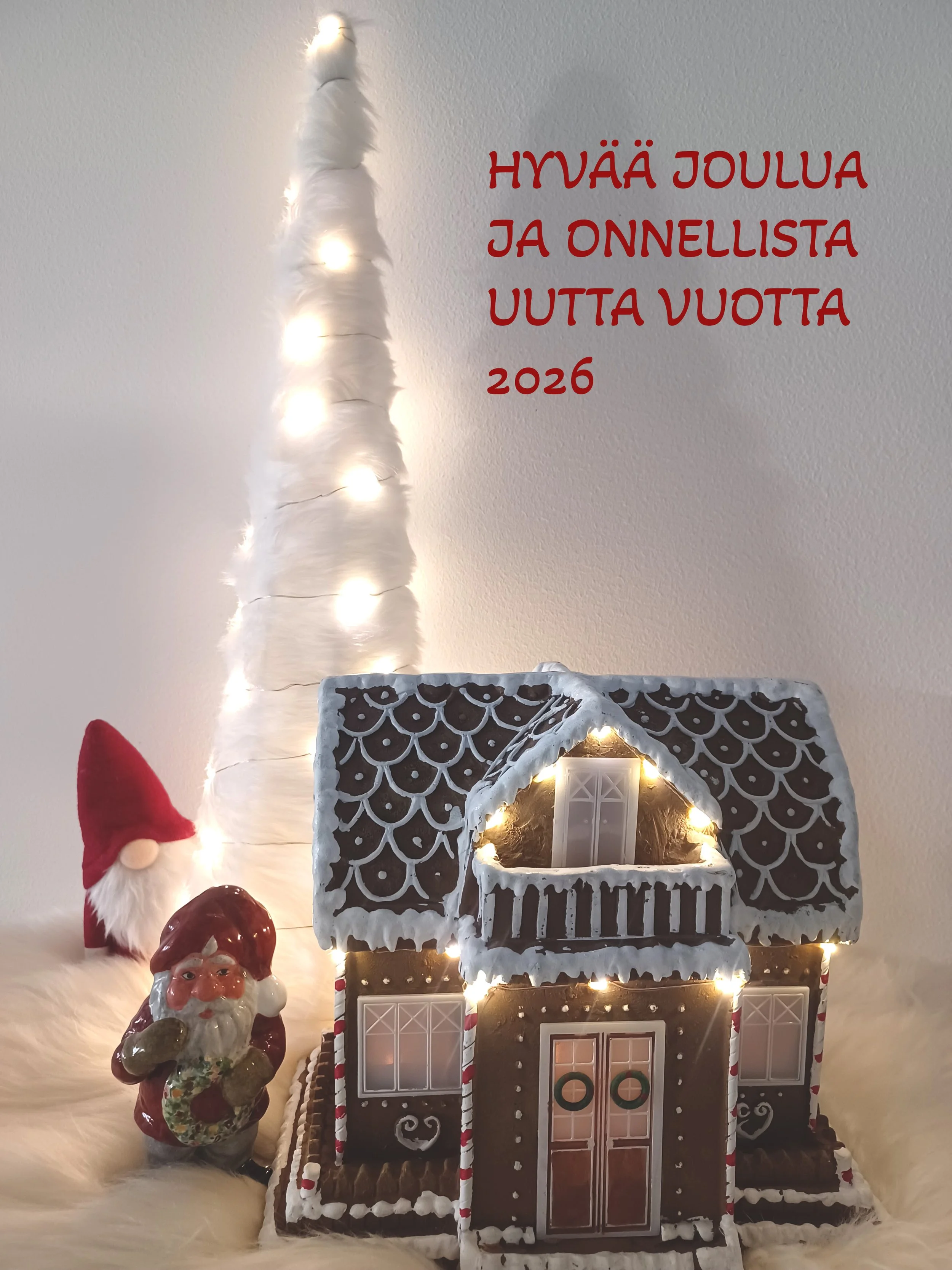 HYVÄÄ JOULUA.jpg