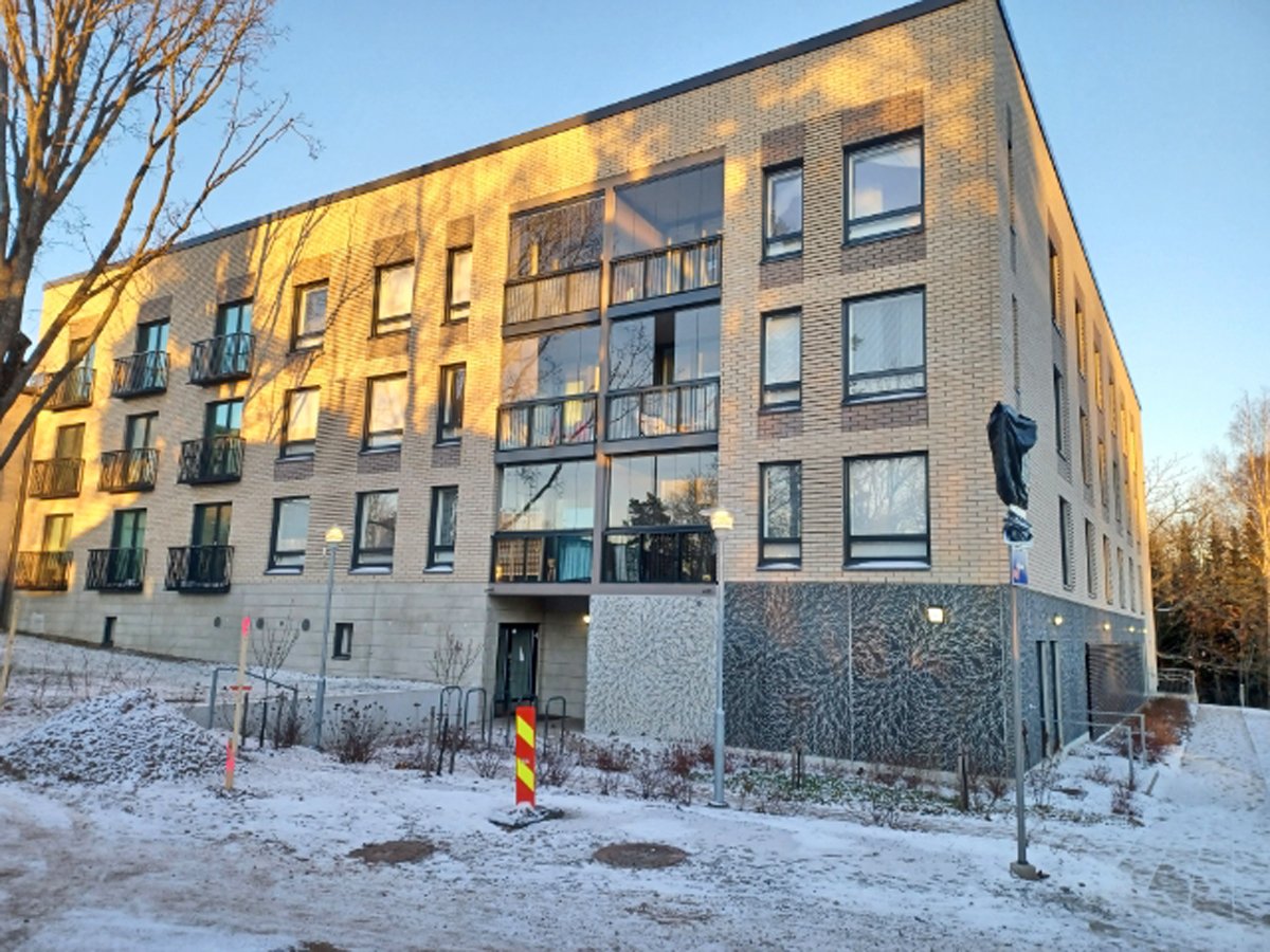 asteritie3_julkis1a.jpg