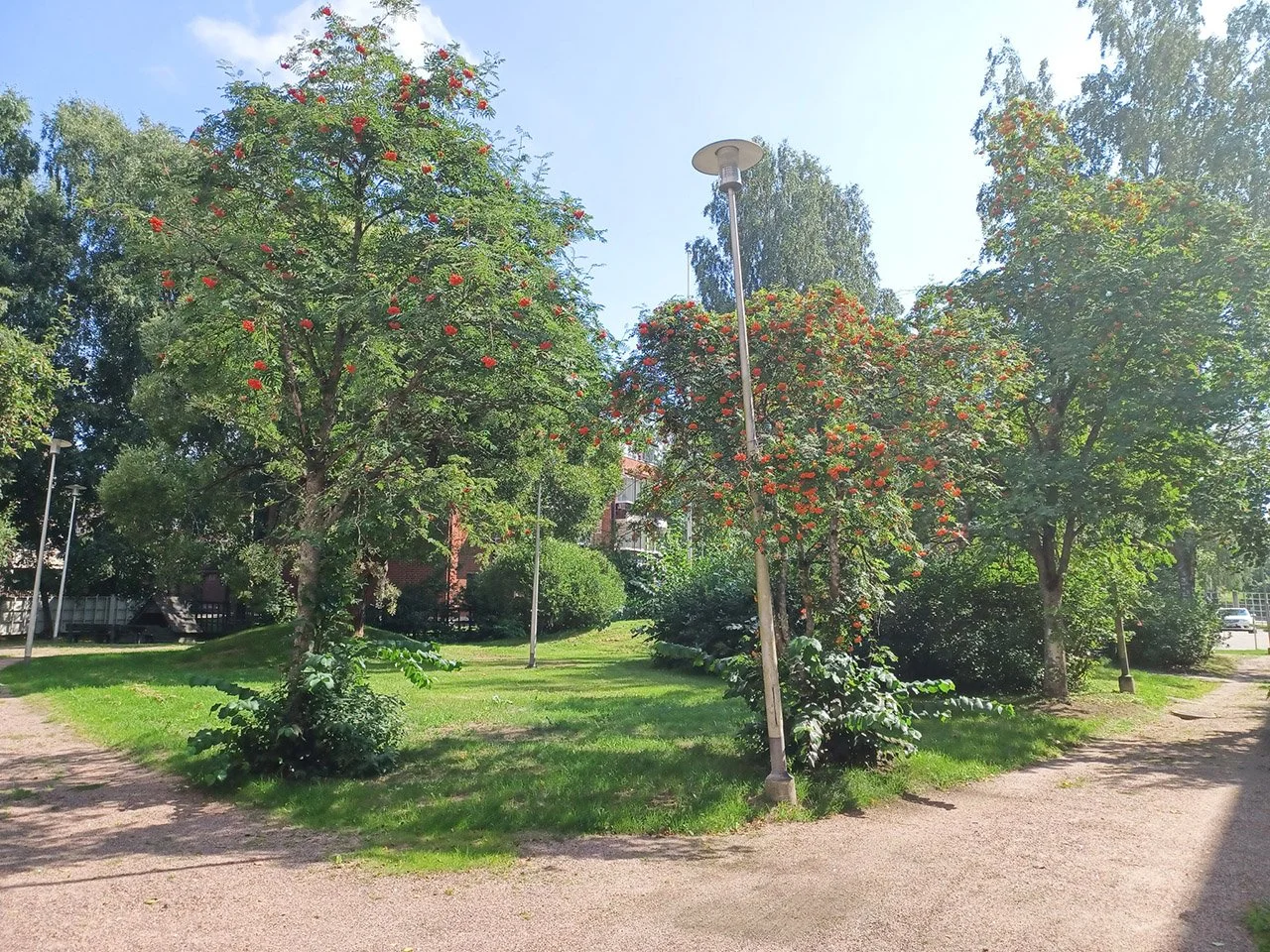 soidintie14d_pihaa1.jpg (Copy)