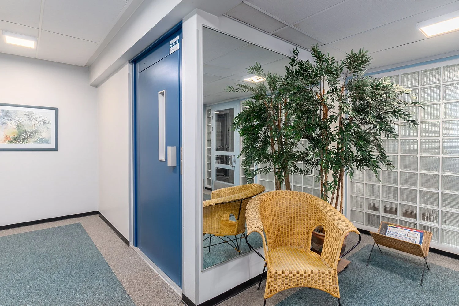 DSC06180-Edit copy.jpg