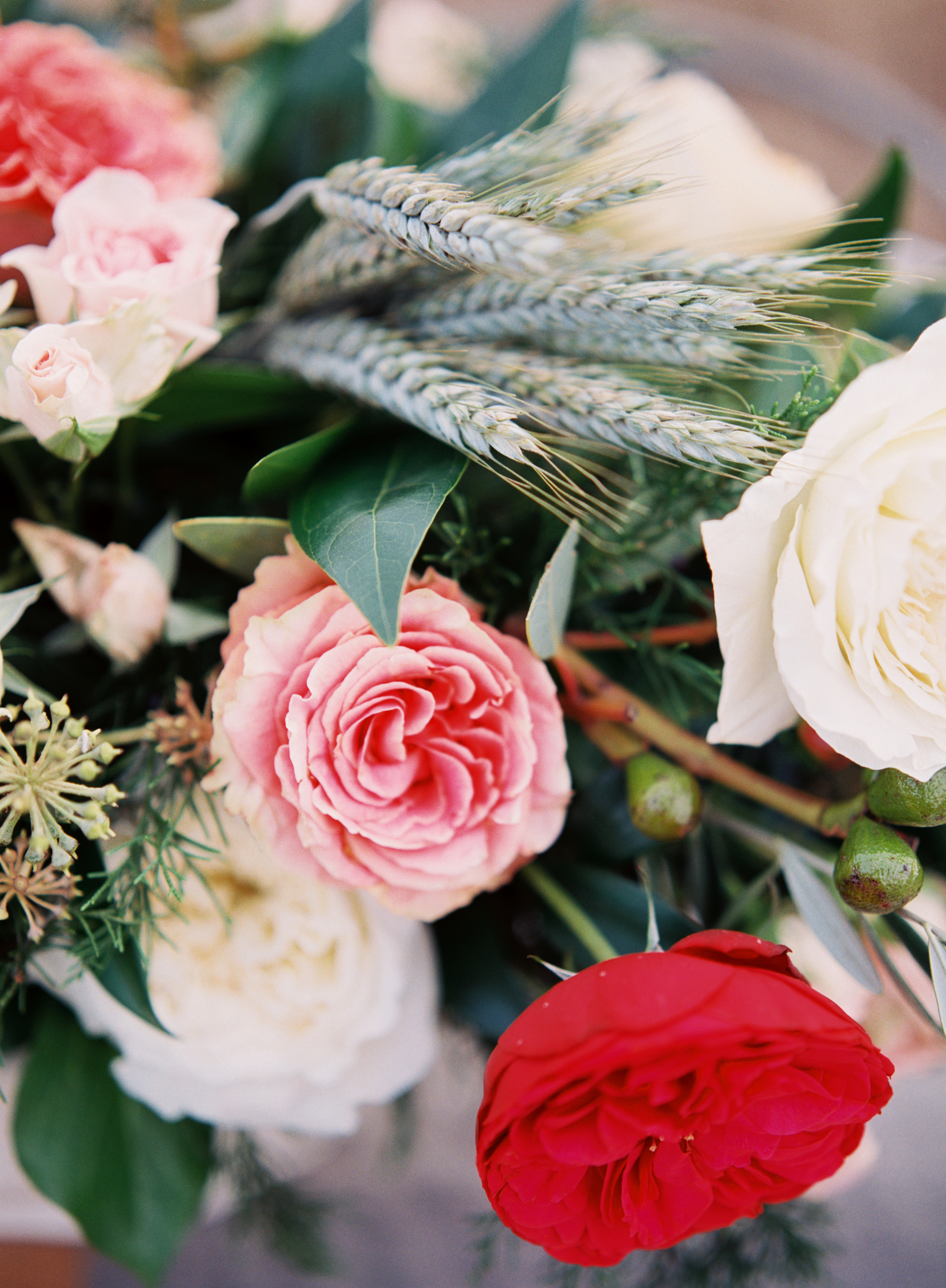 Alpaca Wedding Editorial - Lindsey Brunk
