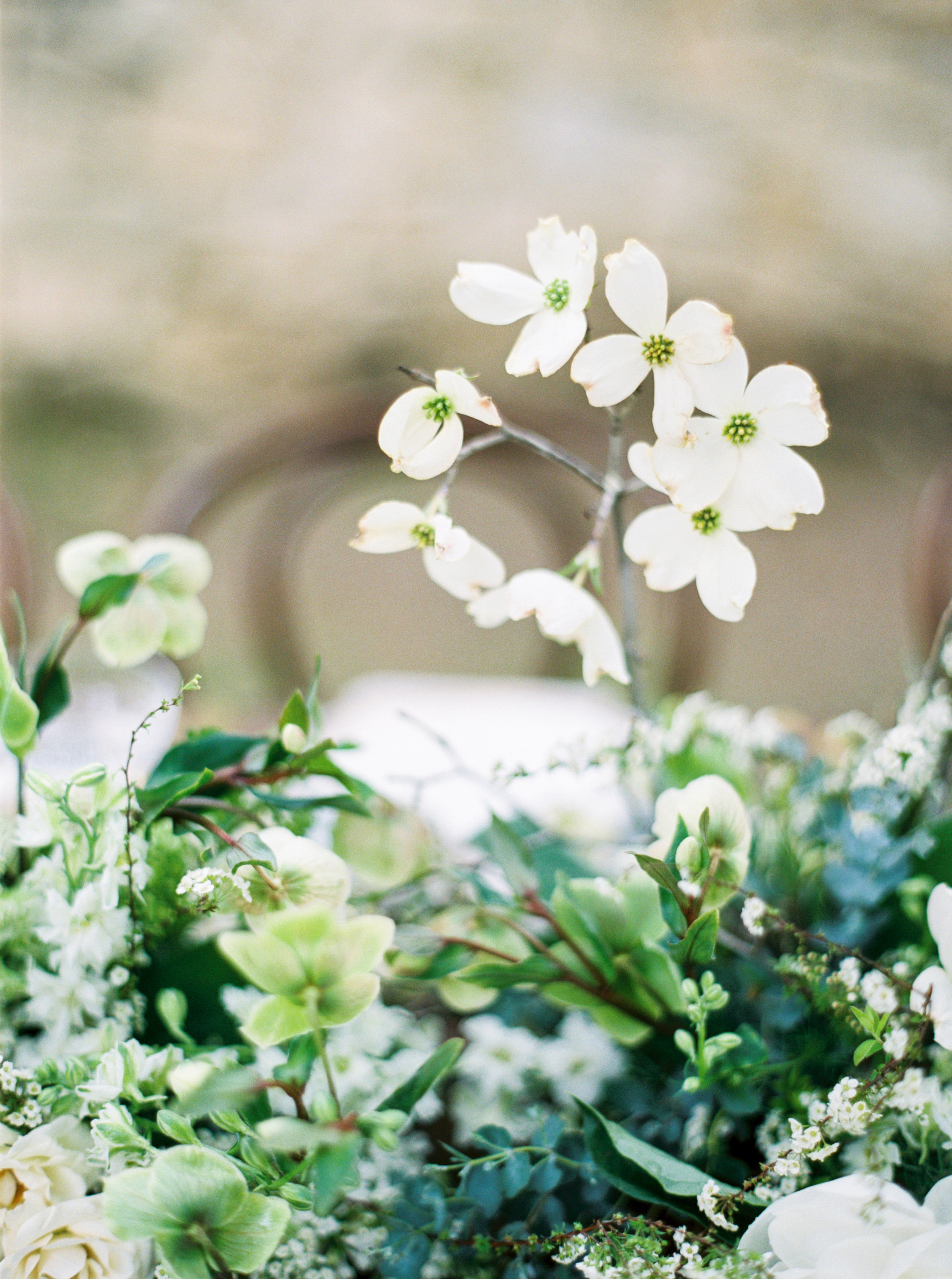 Agave & Sand Wedding Inspiration - Lindsey Brunk