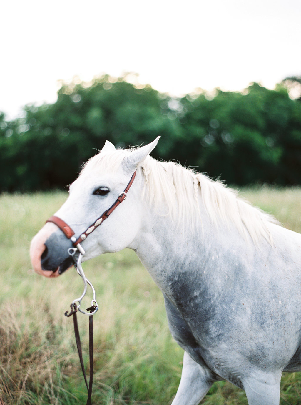 Megan & Colton: Elegant Summer Ranch Wedding - Lindsey Brunk