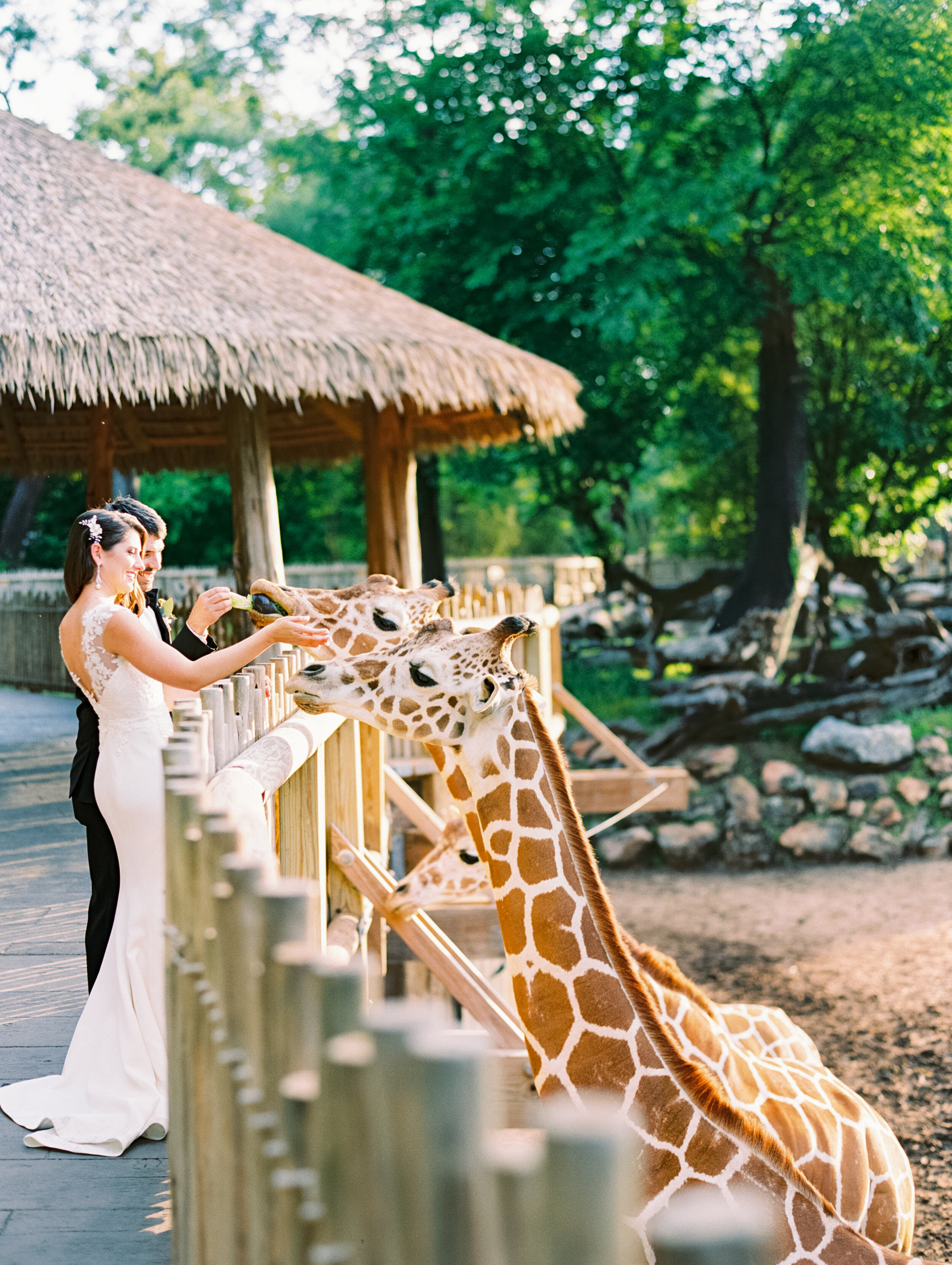 Fort Worth Zoo Wedding - Lindsey Brunk