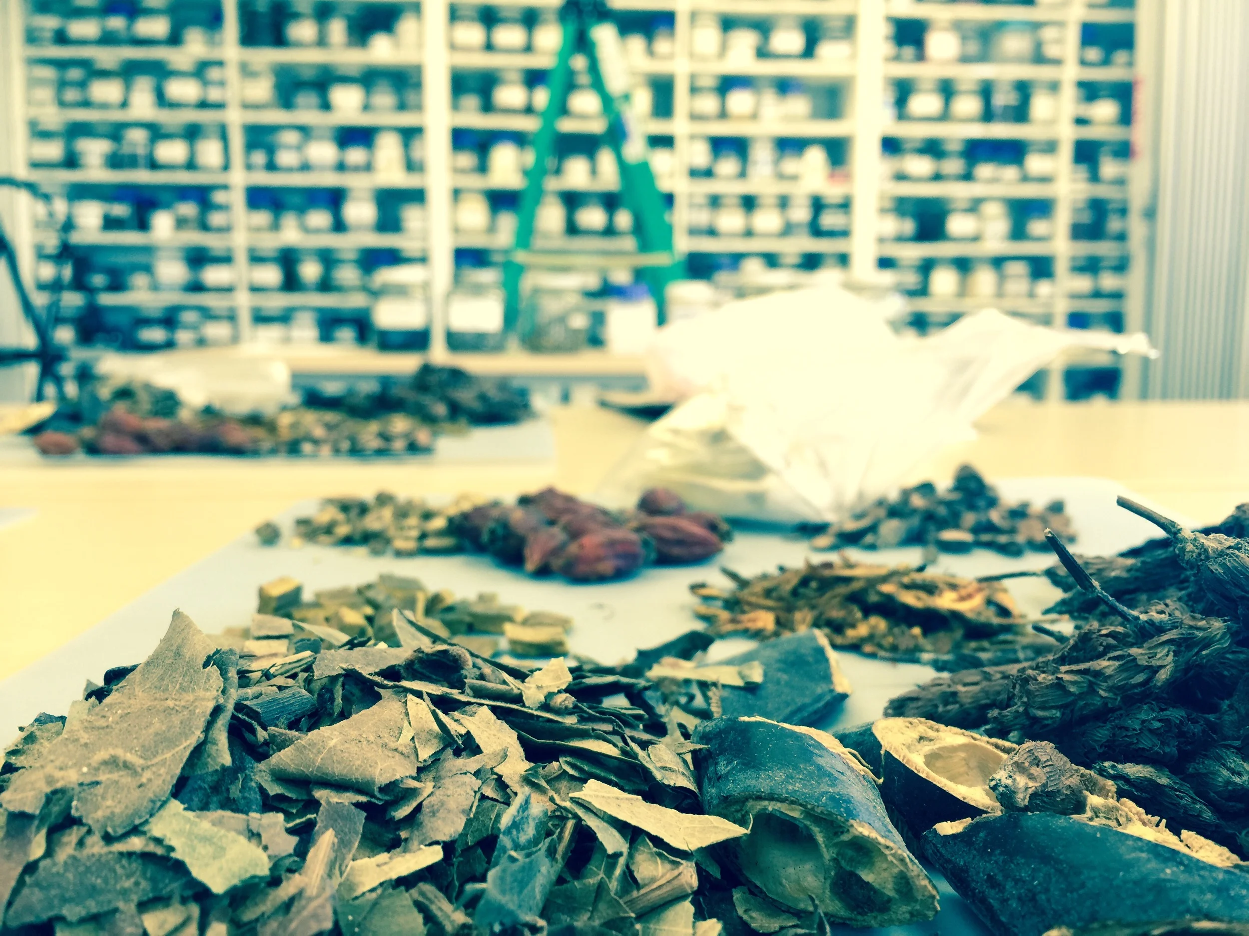 chinese herbal medicine pharmacy at muih