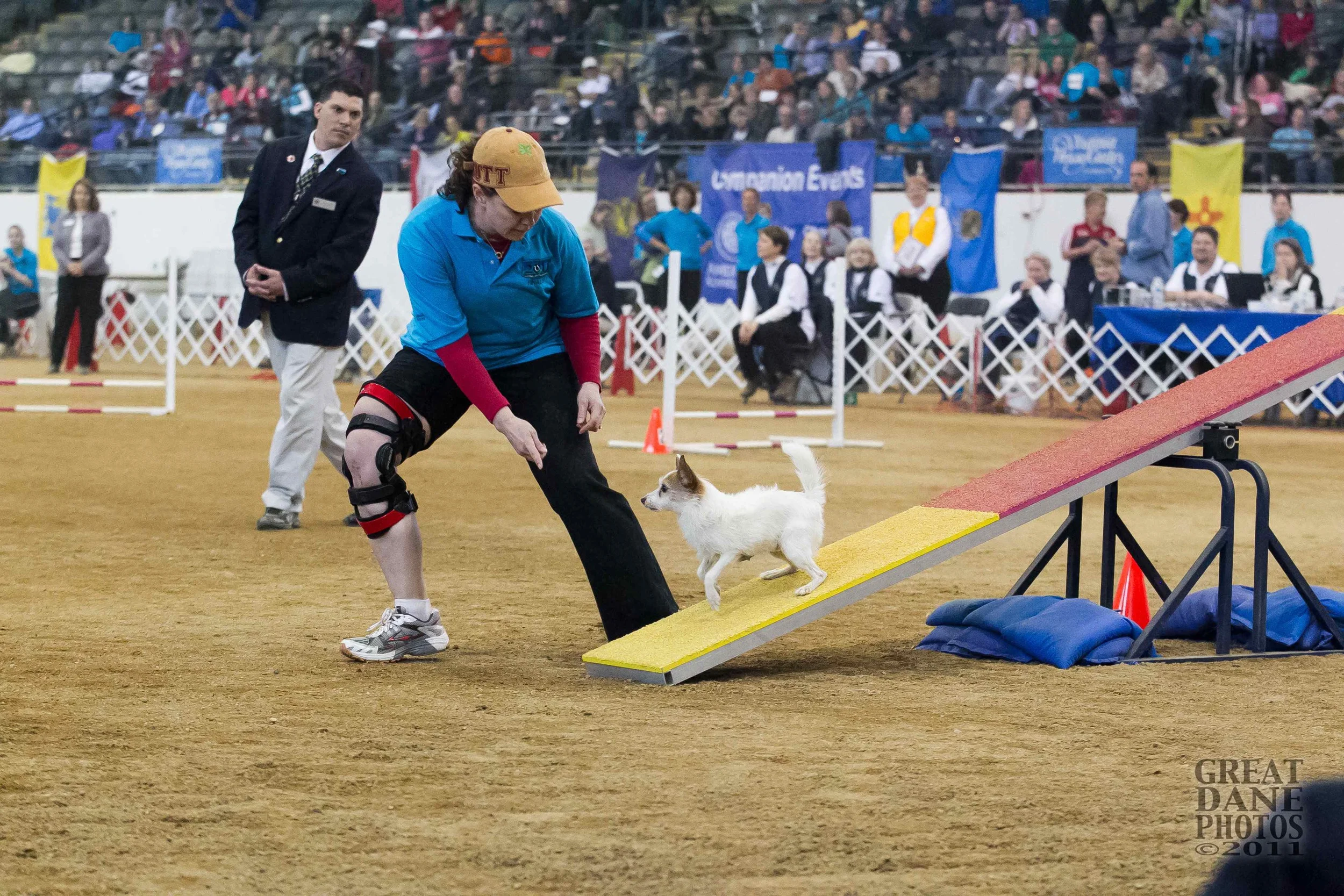 2010 AKC National Finals
