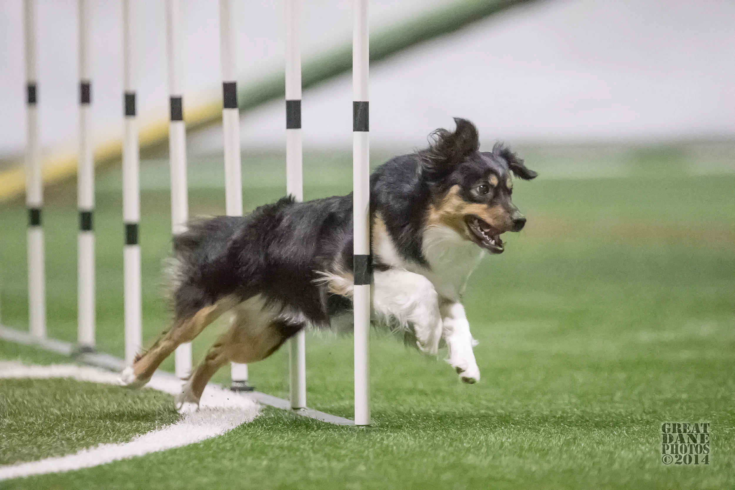 Rokken Weaves7 IL Regional 2014.jpg