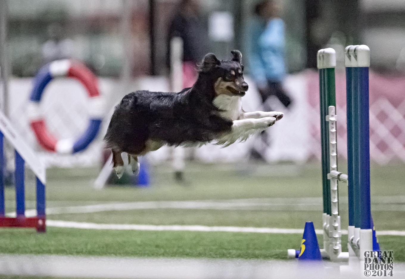 Rokken Jumping4 IL Regional 2014.jpg