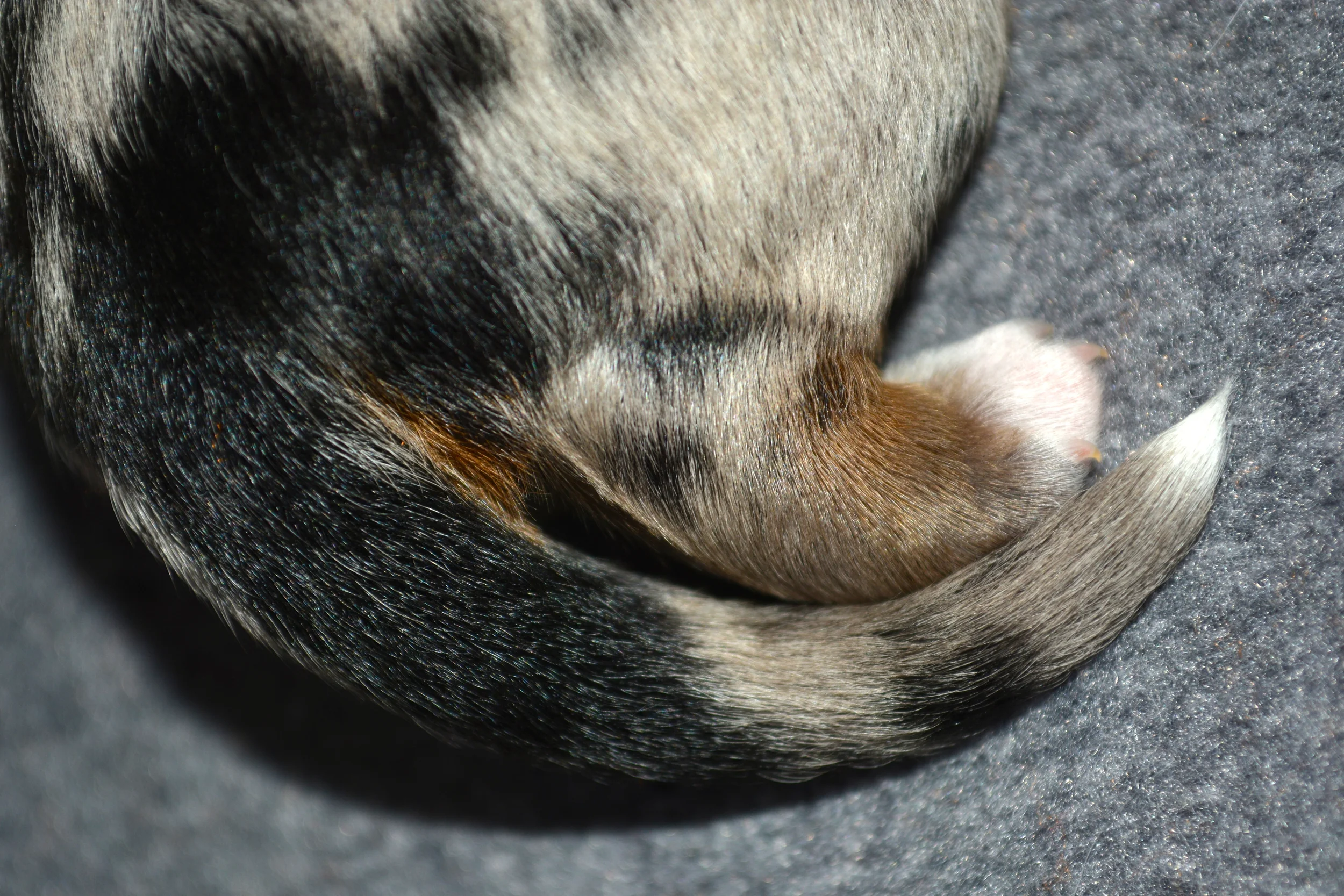 DSC_0276.jpg