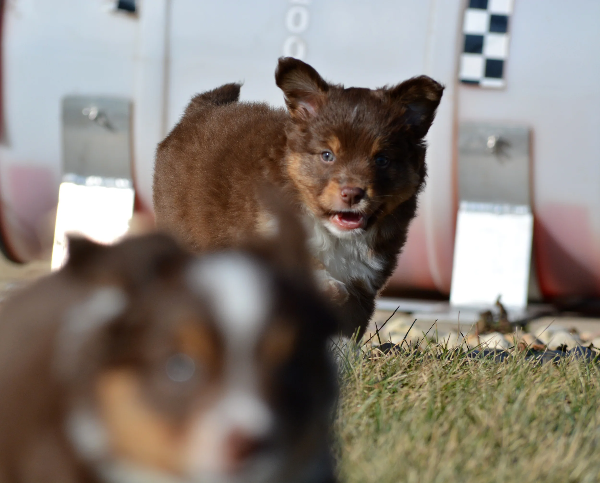 DSC_0488.jpg