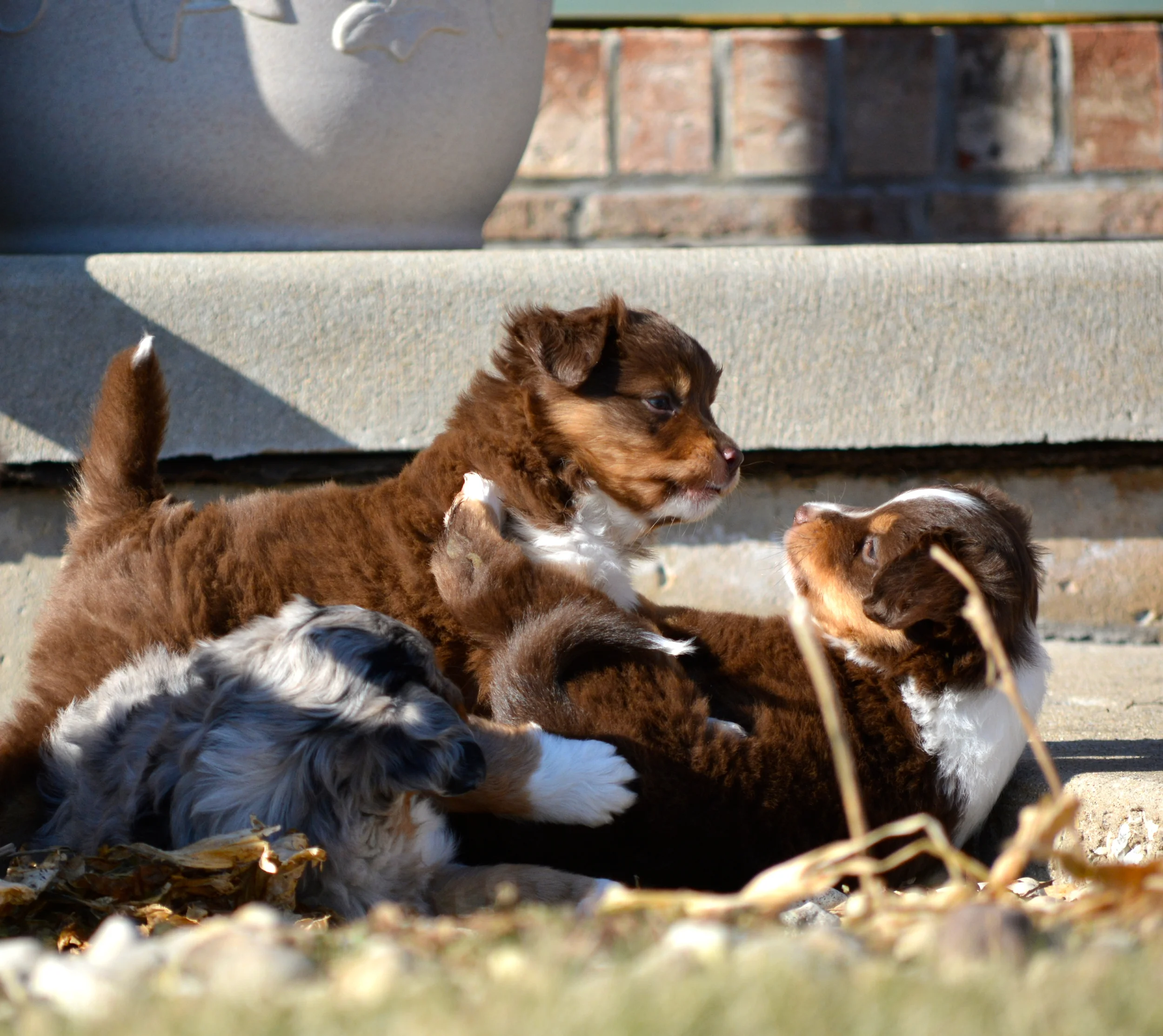 DSC_0502.jpg