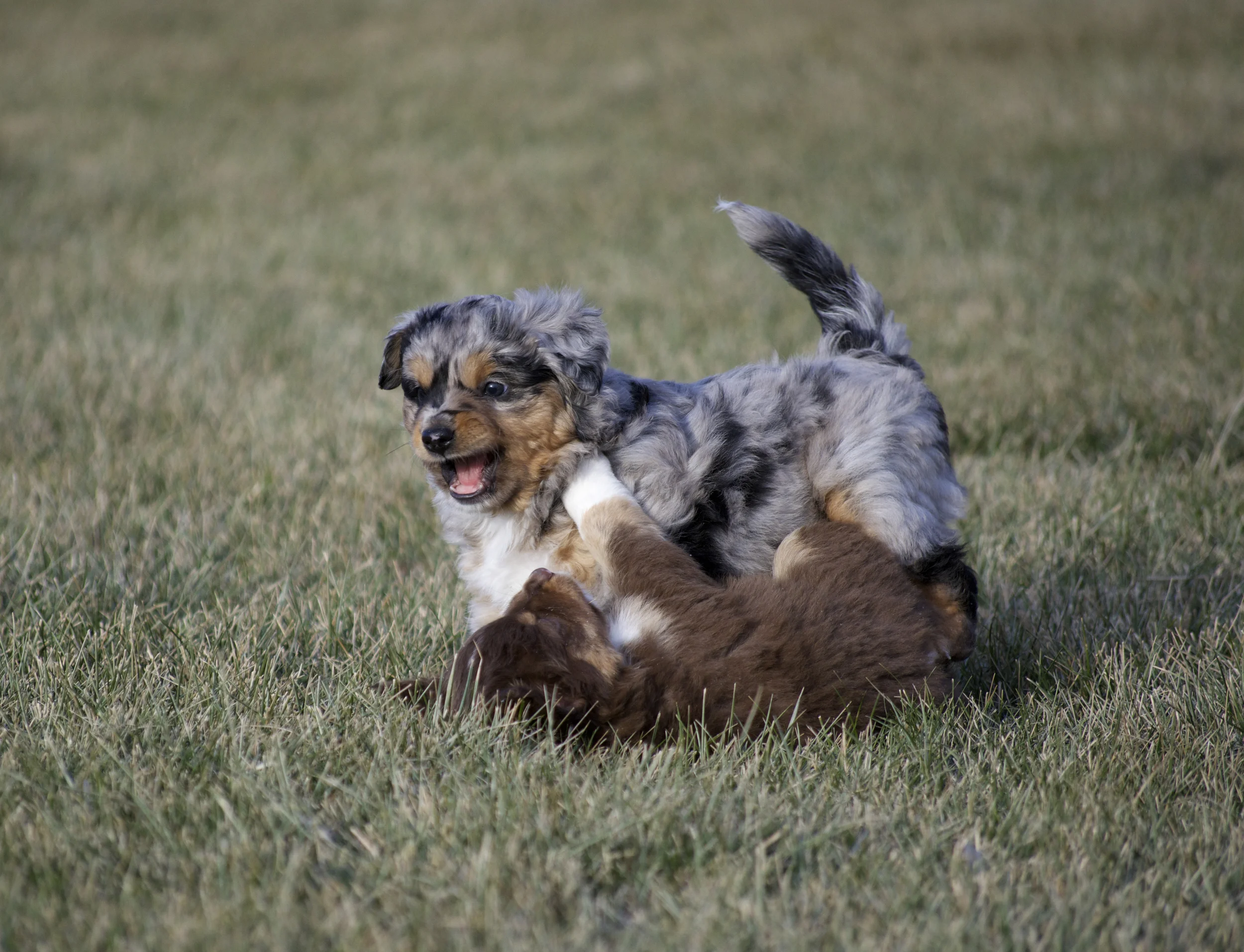 DSC_0547.jpg
