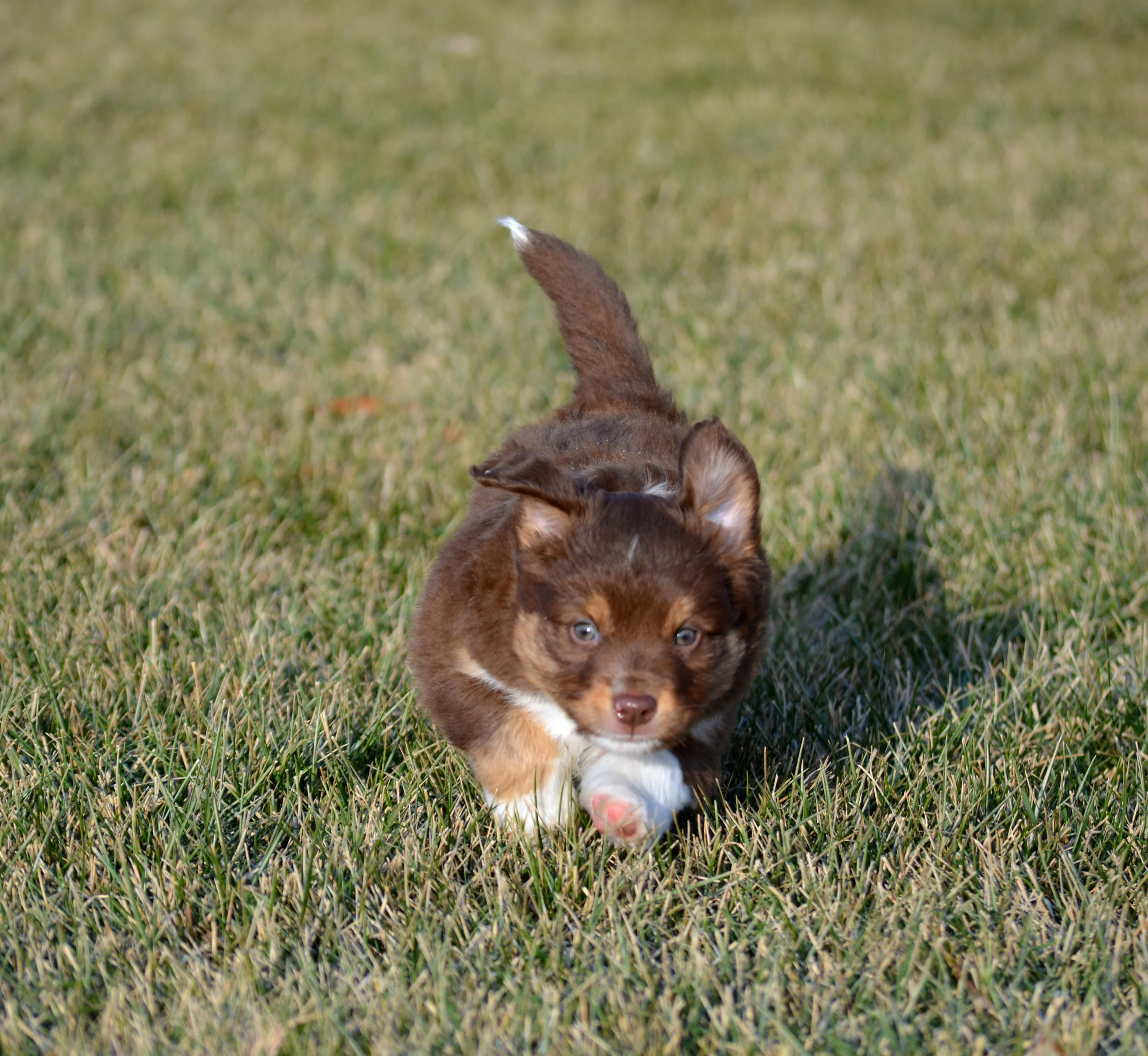 DSC_0560.jpg