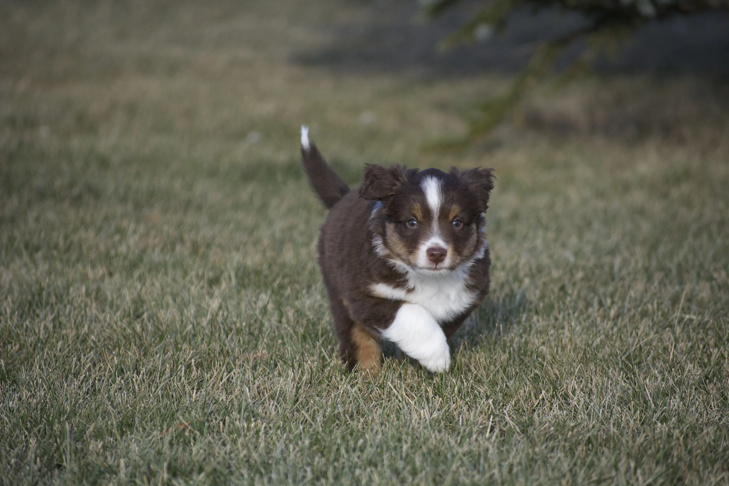 DSC_0555.jpg