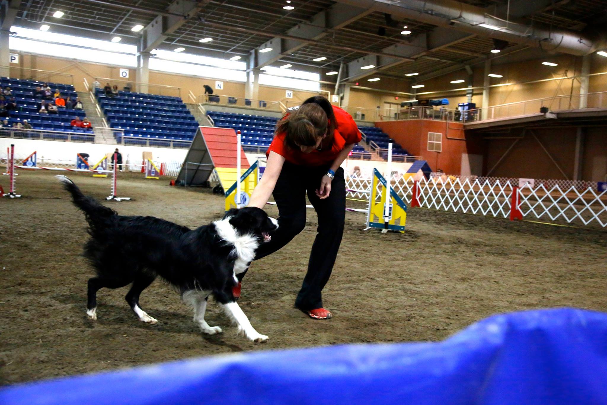 Whitney and Rumor.jpg
