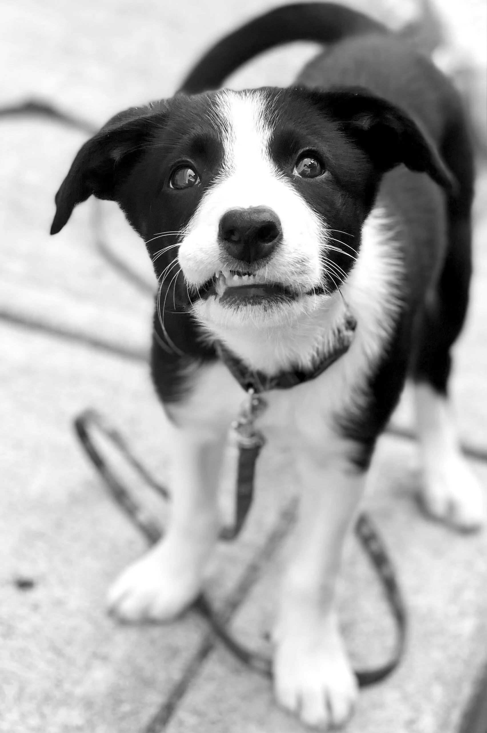 Sharper Lip Stuck.jpeg