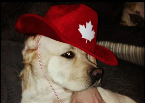 Poppyredhat.jpg