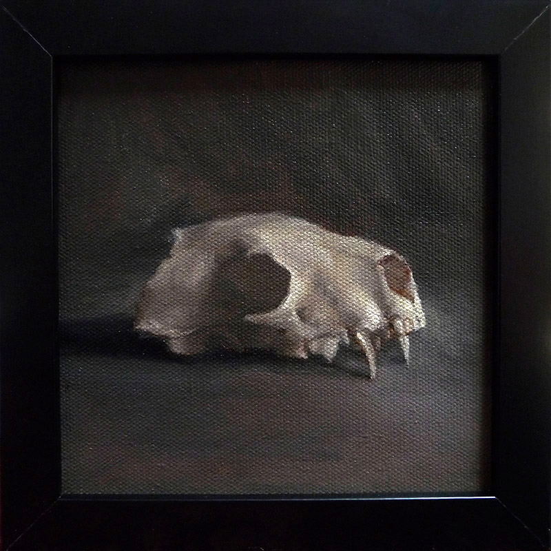 dawndundundun-weasel-skull.jpg