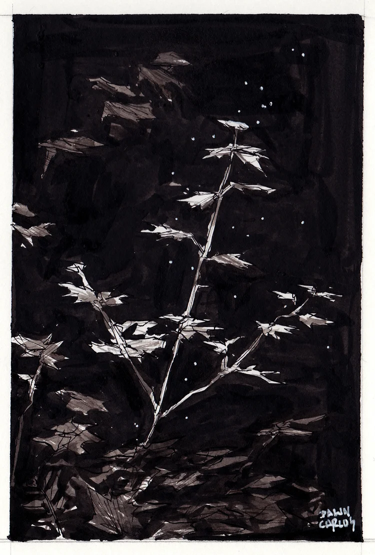 SketchesVol1_Layout_053+copy.jpg