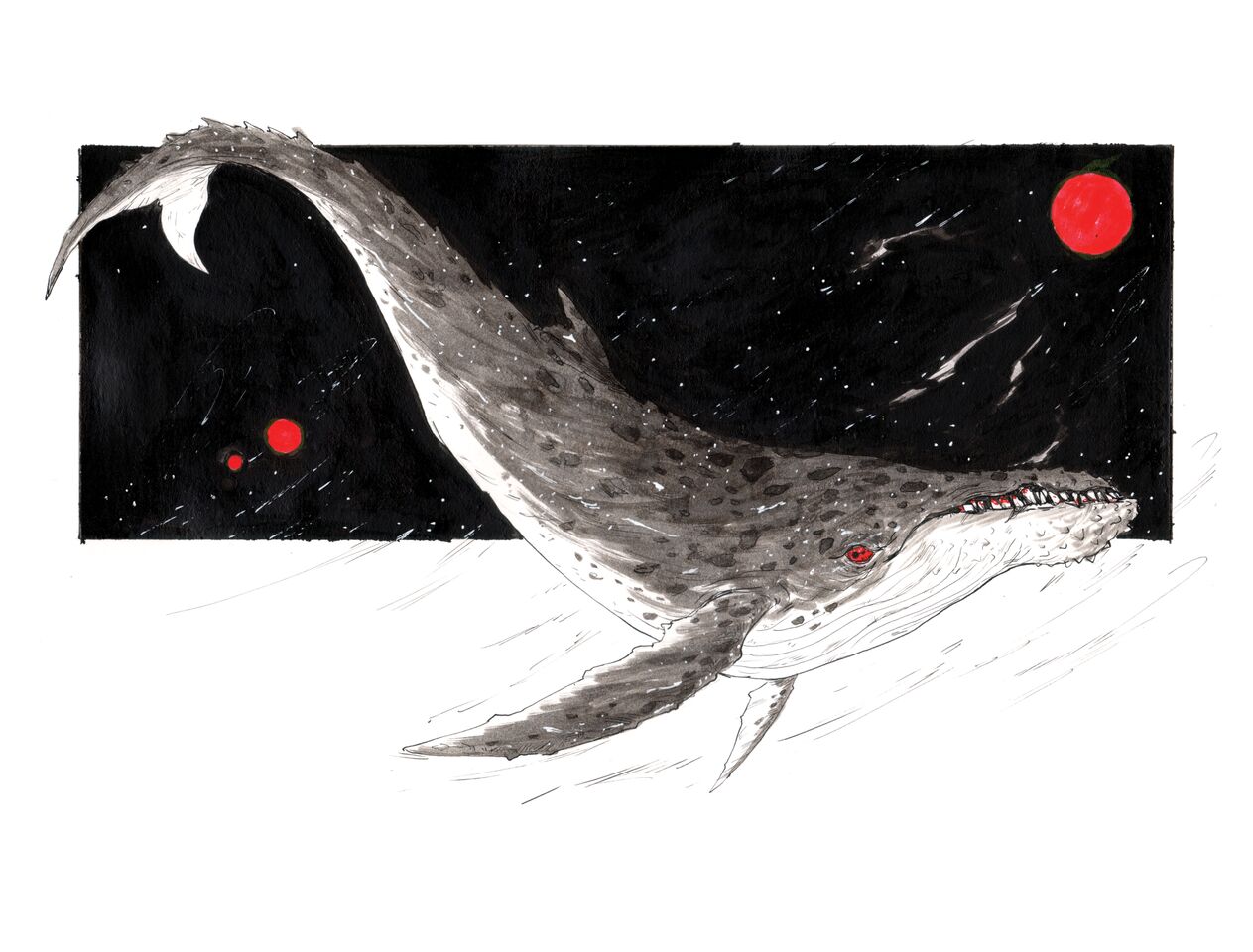 "Whalestrom" Ink on Bristol