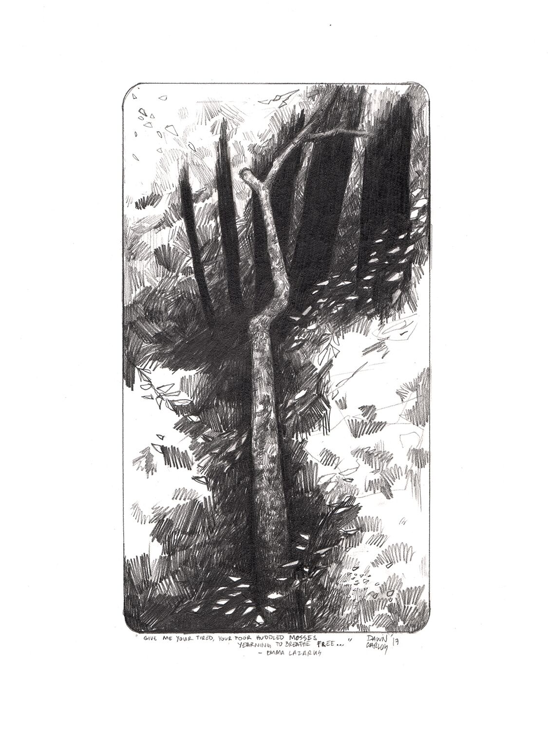 "Poor Huddled Mosses" Graphite on Bristol Paper
