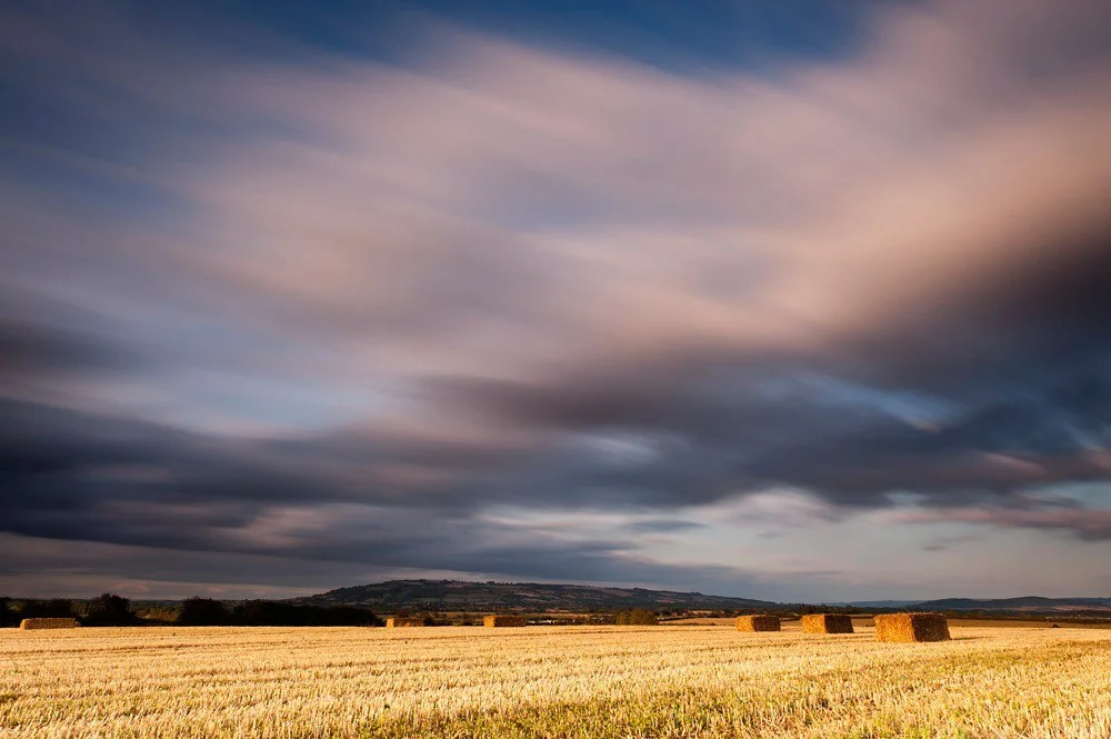 landscape8.jpg
