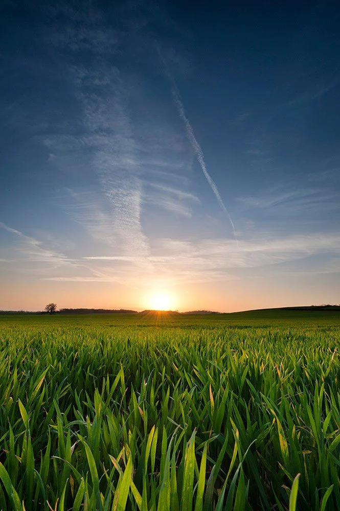 landscape25.jpg