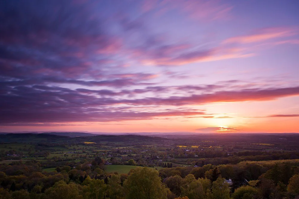 landscape31.jpg