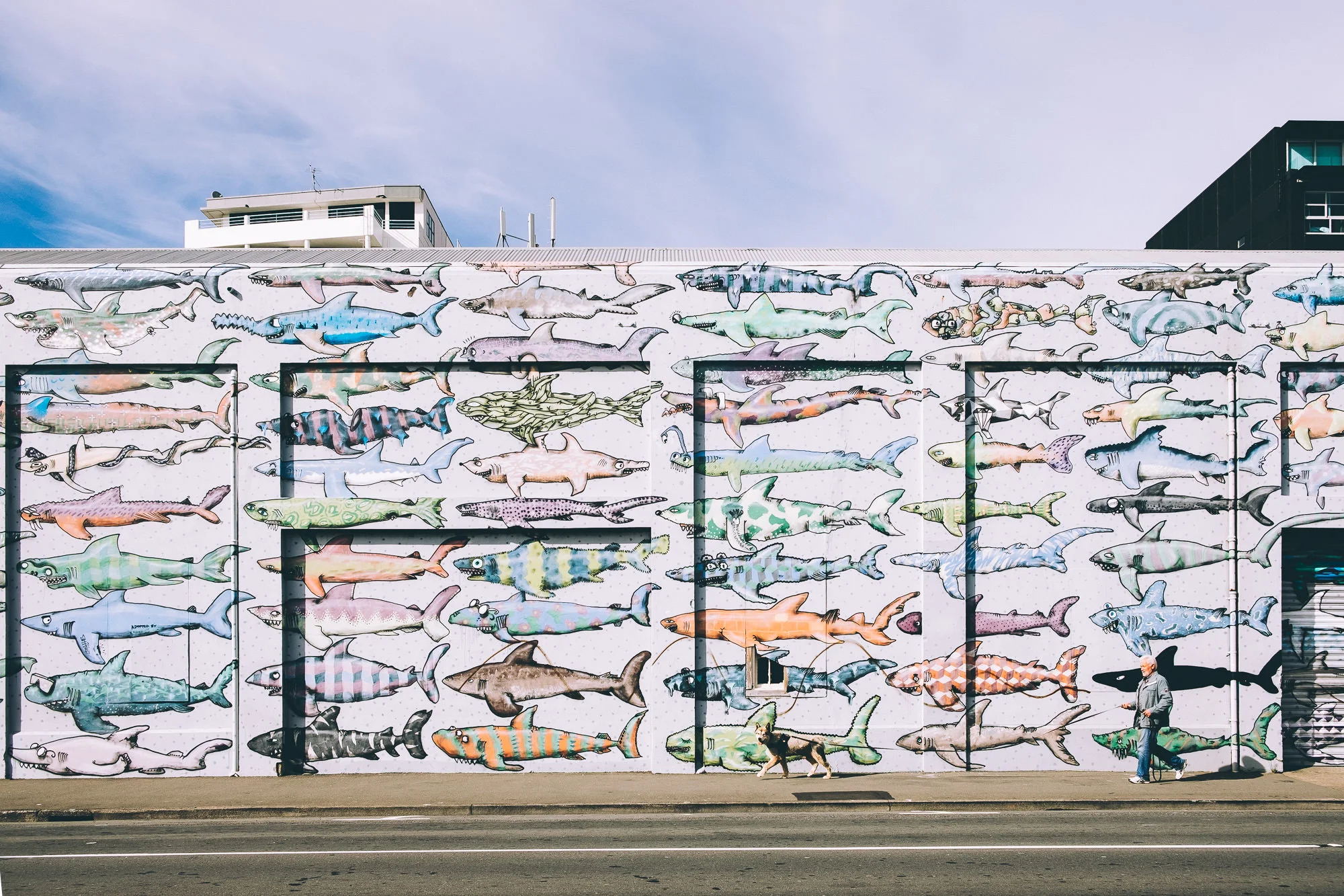 Wellington, NZ