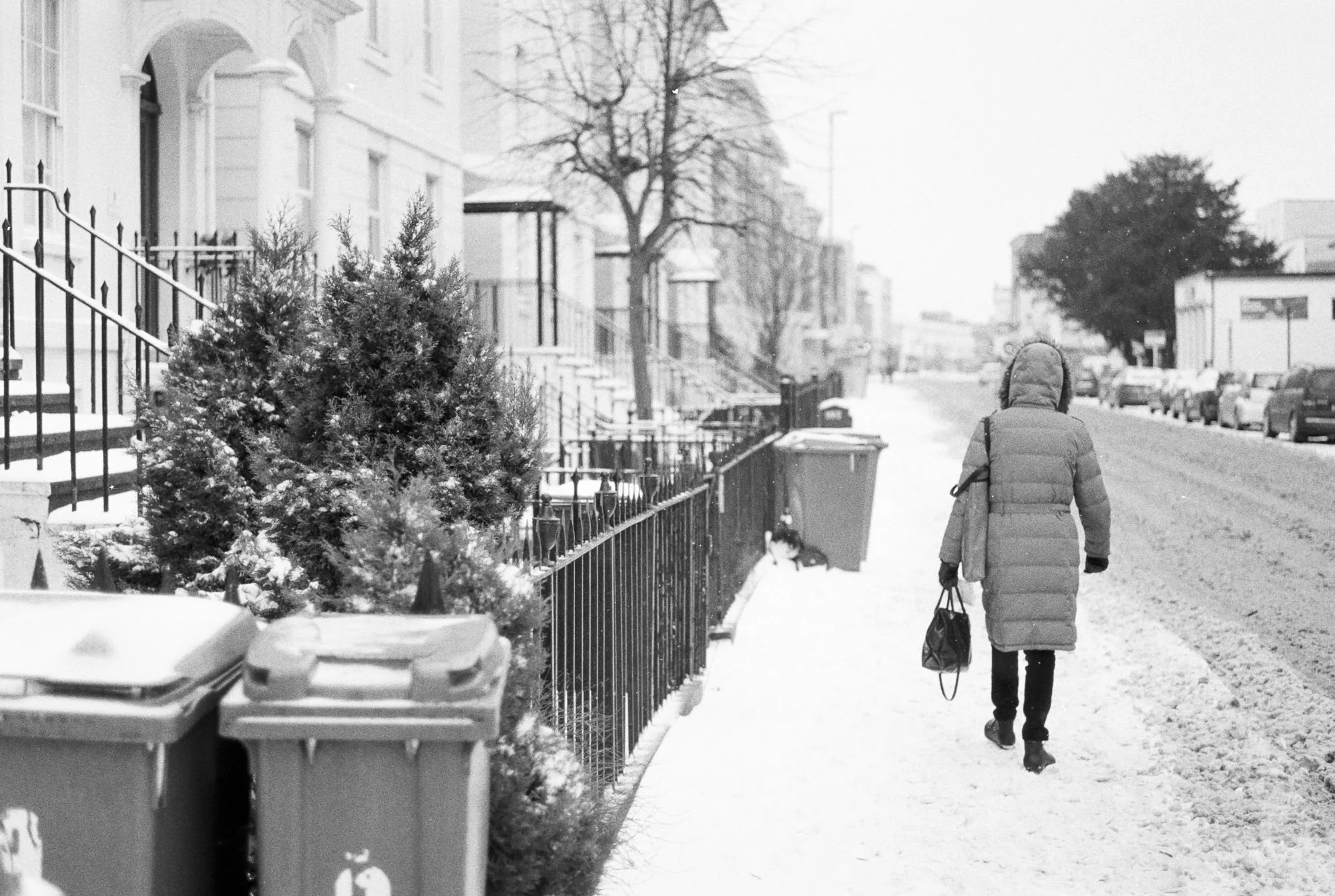 2018_03_14-m6_hp5_10web.jpg