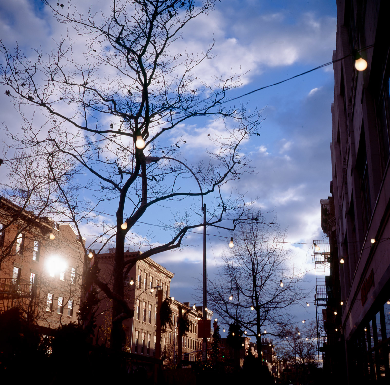 "Court Street Lights" Brooklyn, NY 2011