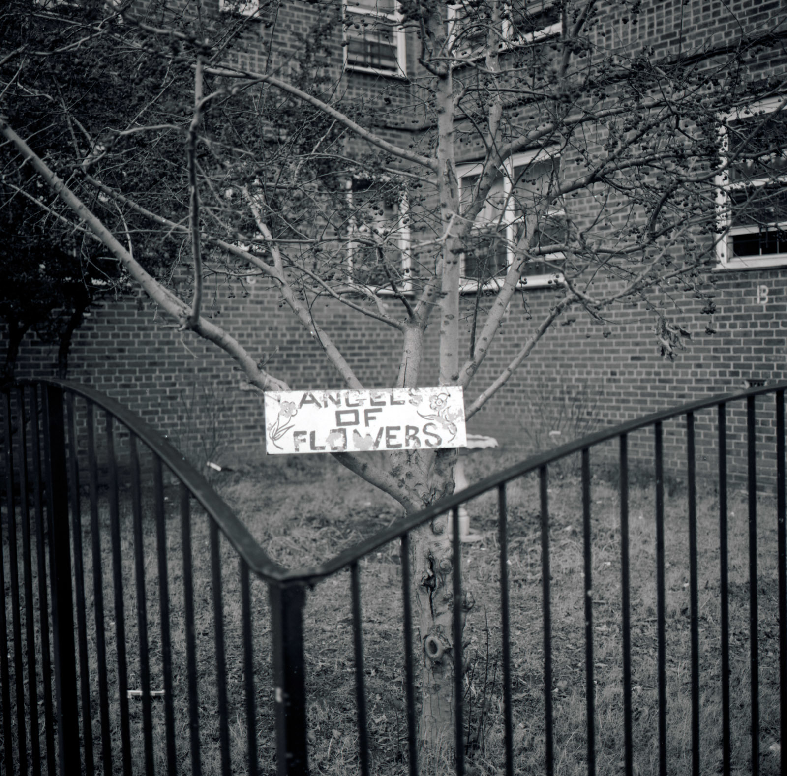 "Angels of Flowers" Red Hook, Brooklyn, NY 2007