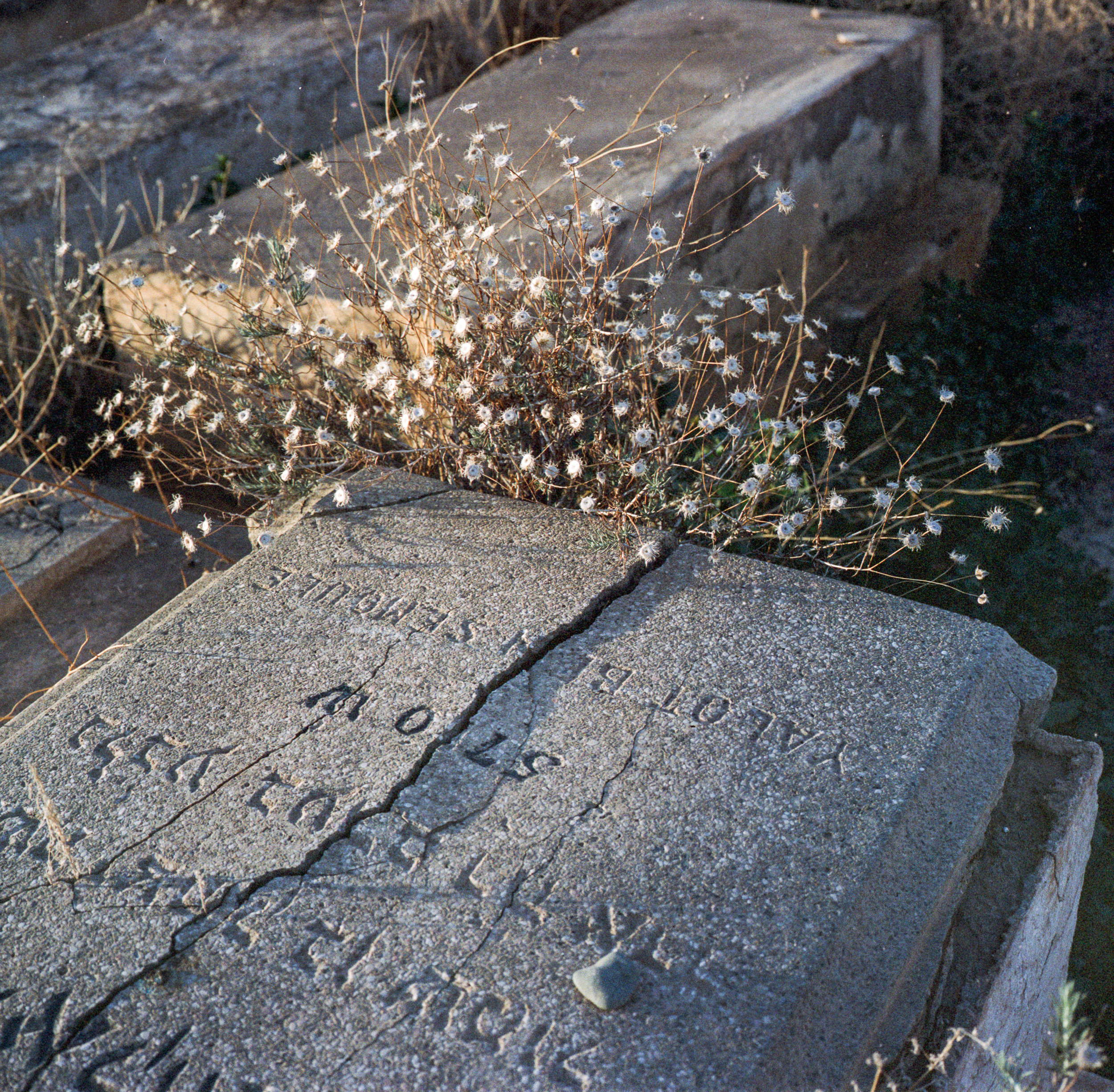 002_2015_MOR_Cemeteries_scans_0009.jpg