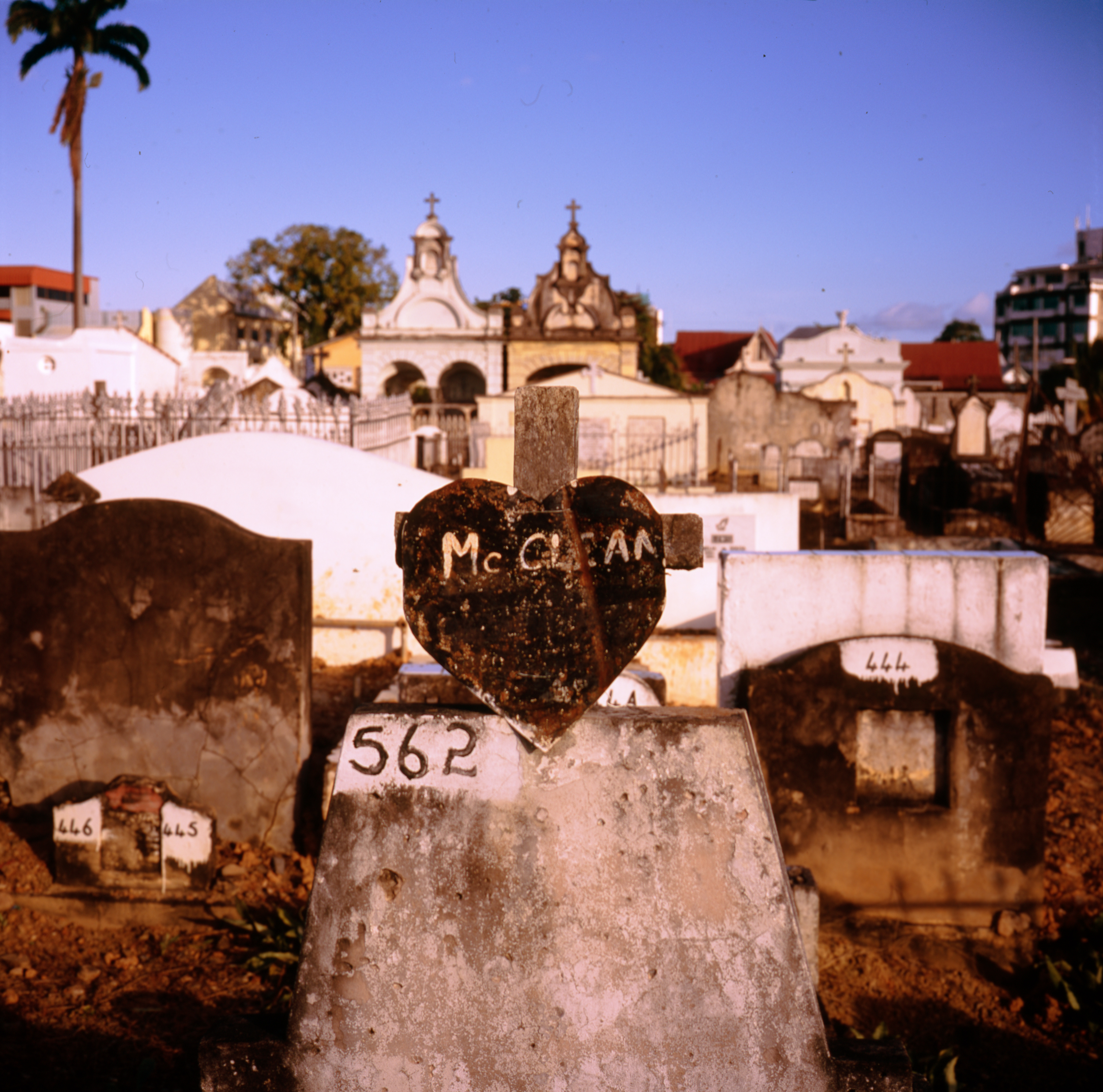 049_2009_Feb_Cemetary_Lapreyouse_PoS_006.jpg