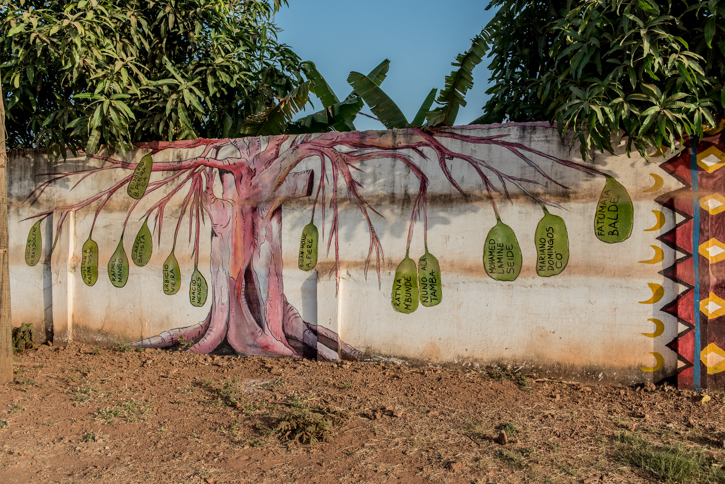"Family Tree" Bissau, Guinea-Bissau, 2018