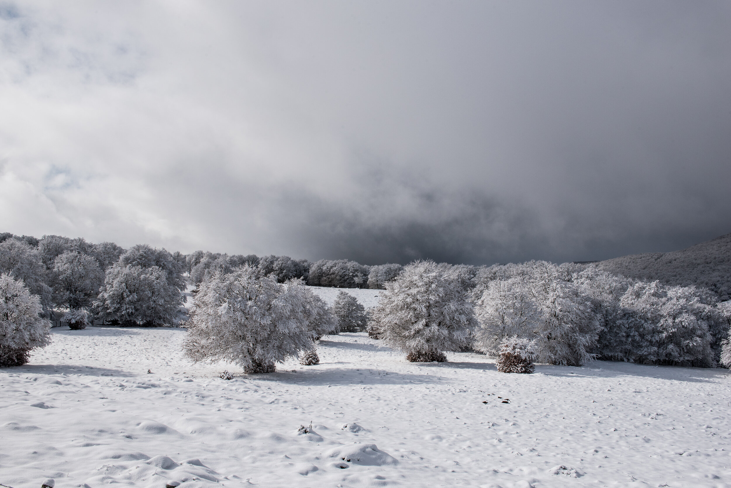 "Auvergne First Snow" Auvergne, France, 2019