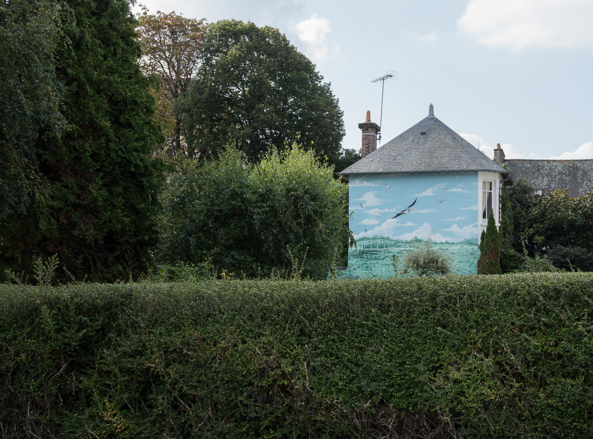 "Bird in Flight" Dinard, Brittany, France, 2016